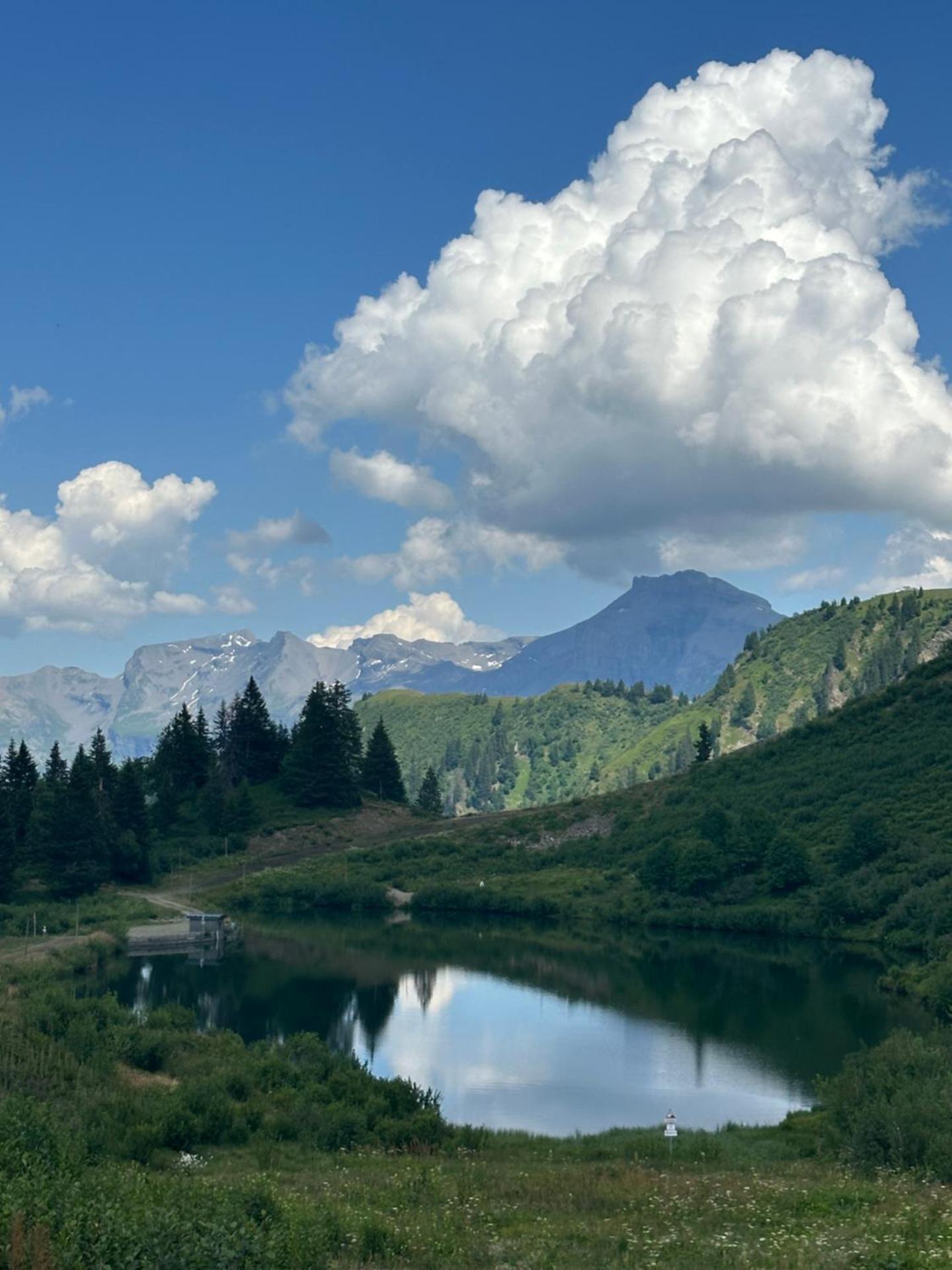 Arve et Giffre Samoens 1600