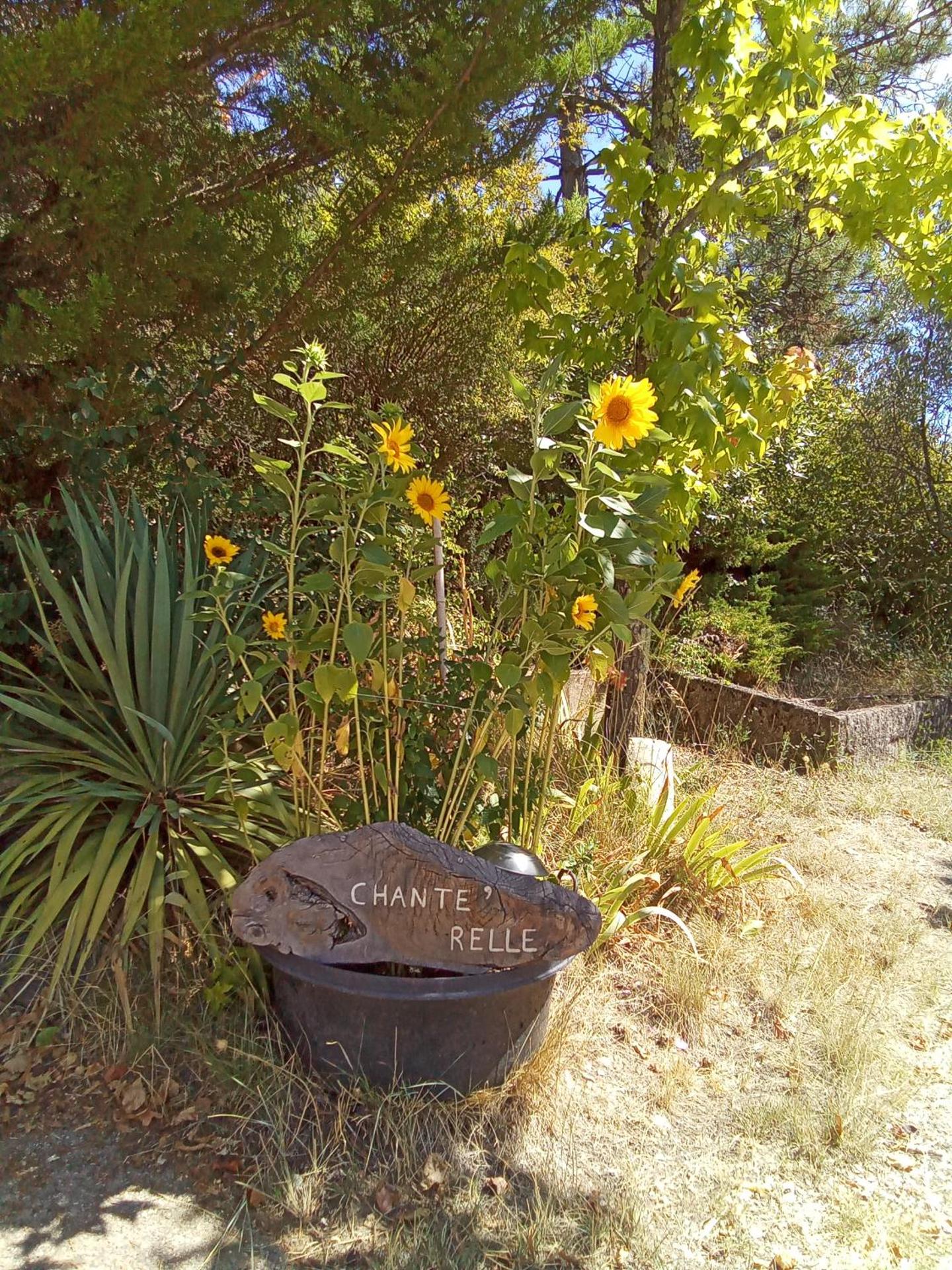 Gîte "Chante' Relle"