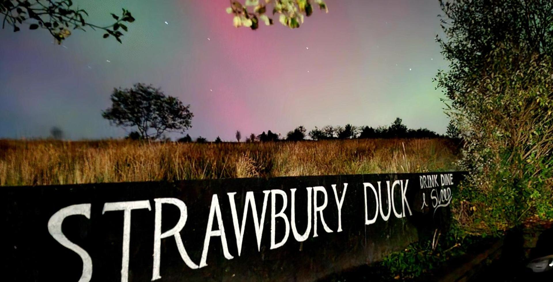 The Strawbury Duck Inn