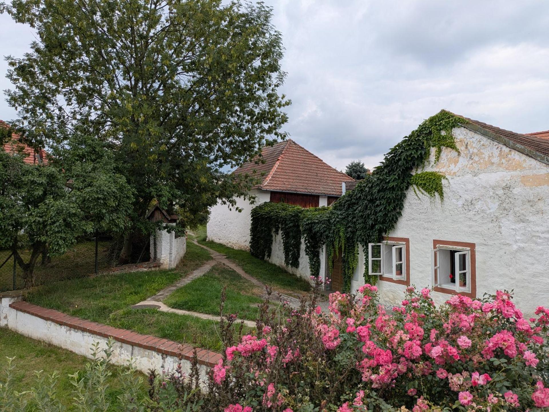 Chaloupka u Mostu sv Jana v centru Vodňan