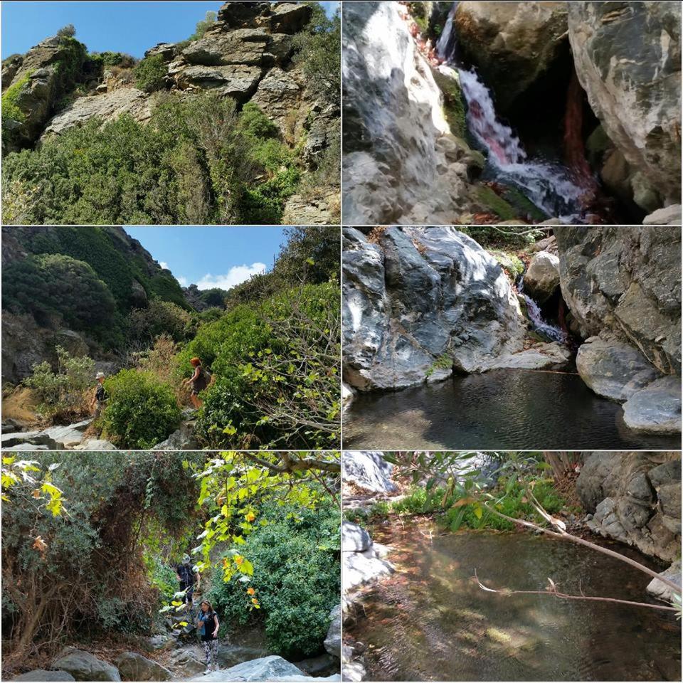 Portobelis Apartments