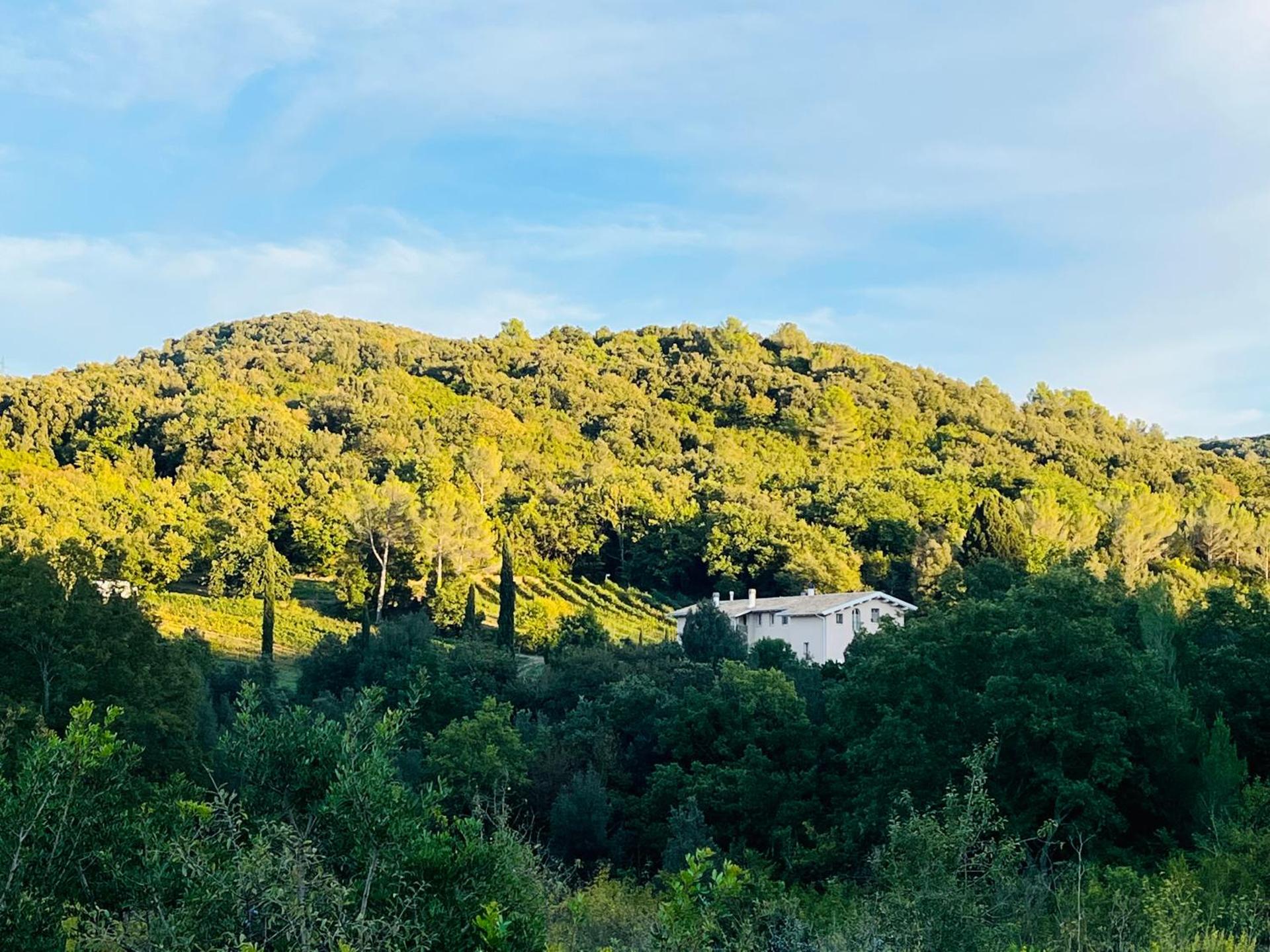Agriturismo Il Molino