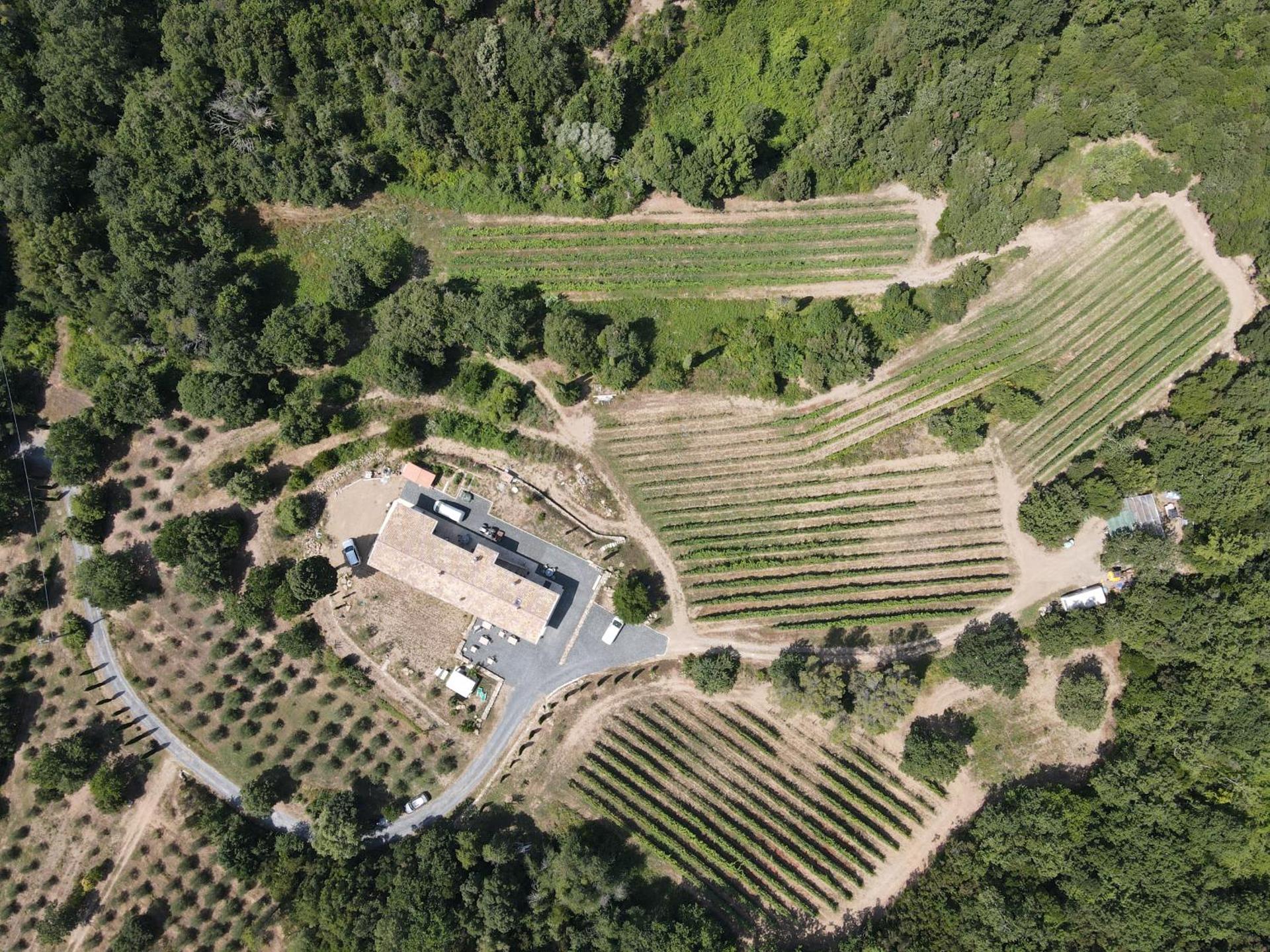 Agriturismo Il Molino