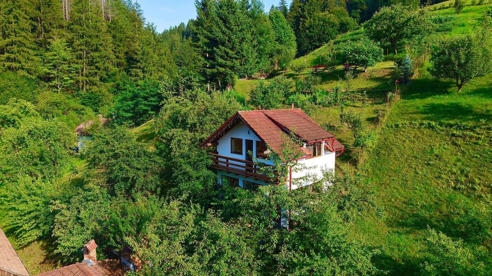 Cabana Vânătorilor