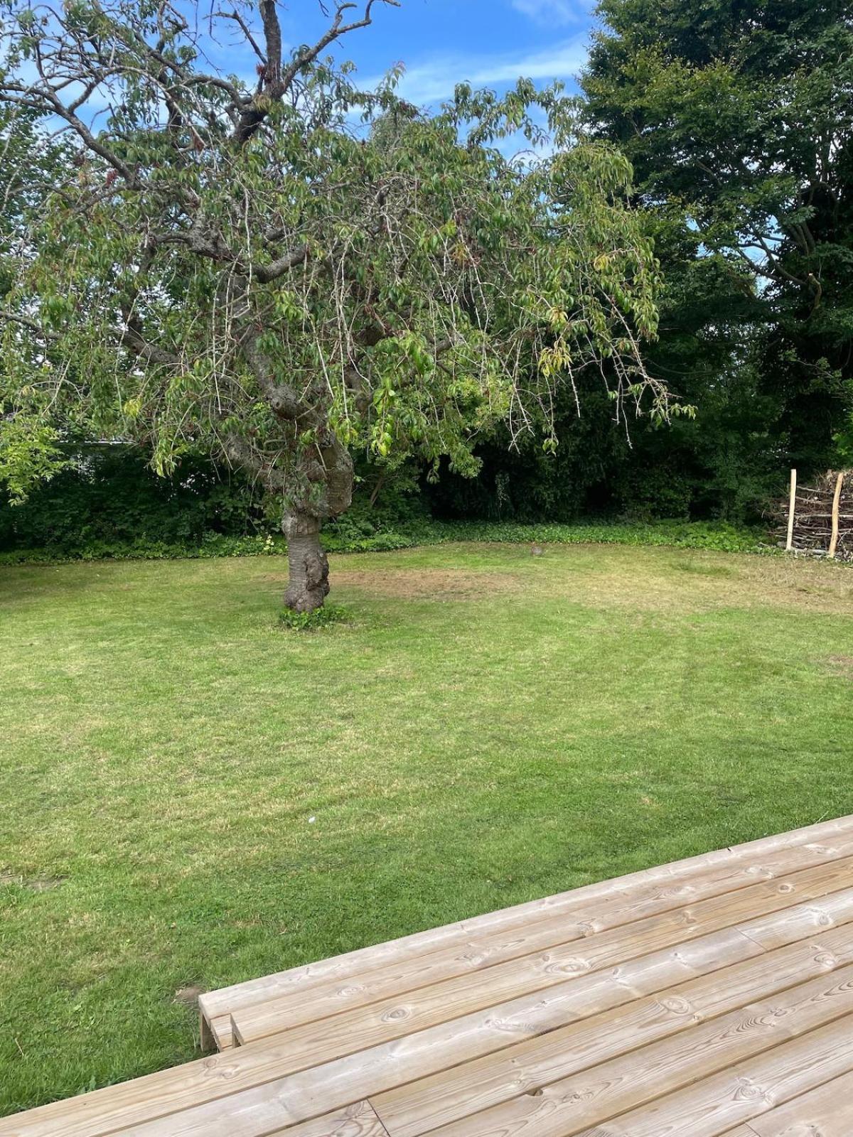 Modern and cozy holiday home