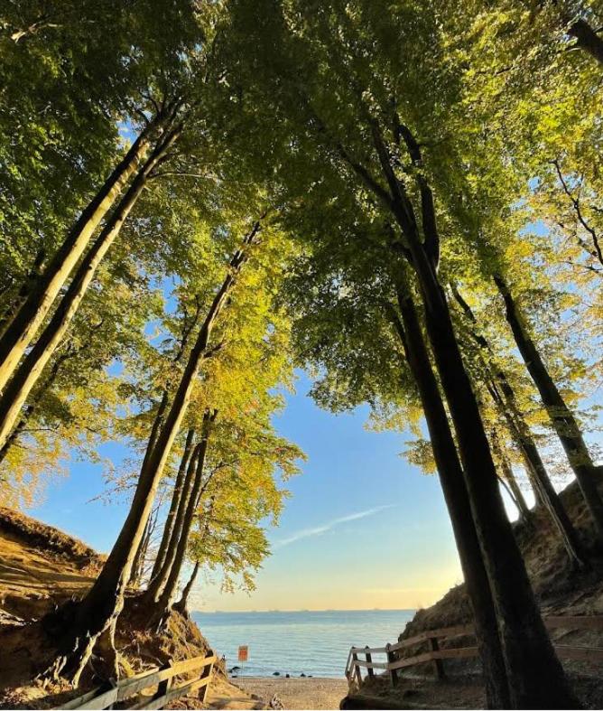 Mieszkanie Gdynia Powstania Wielkopolskiego 115