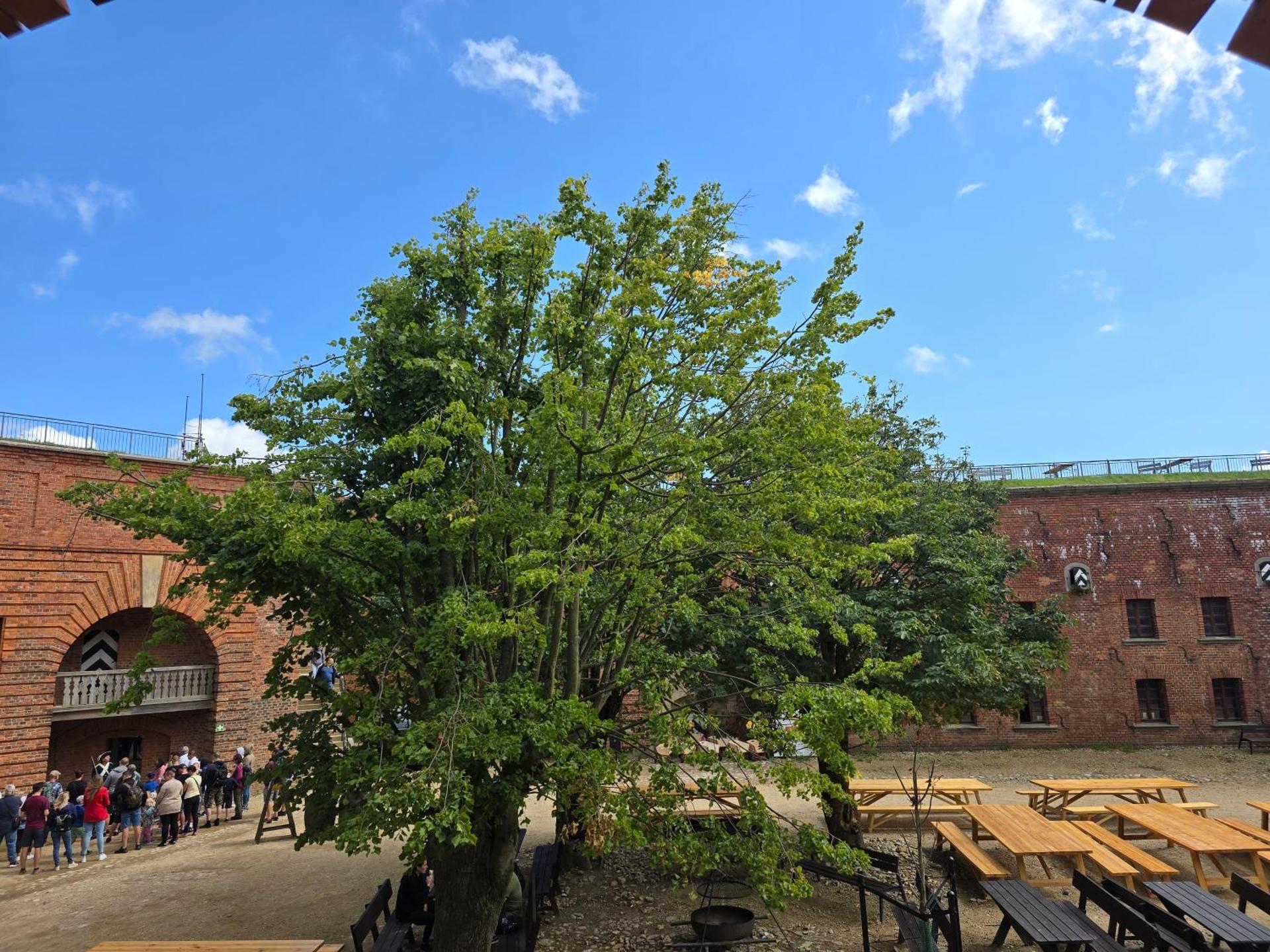 Inner courtyard view