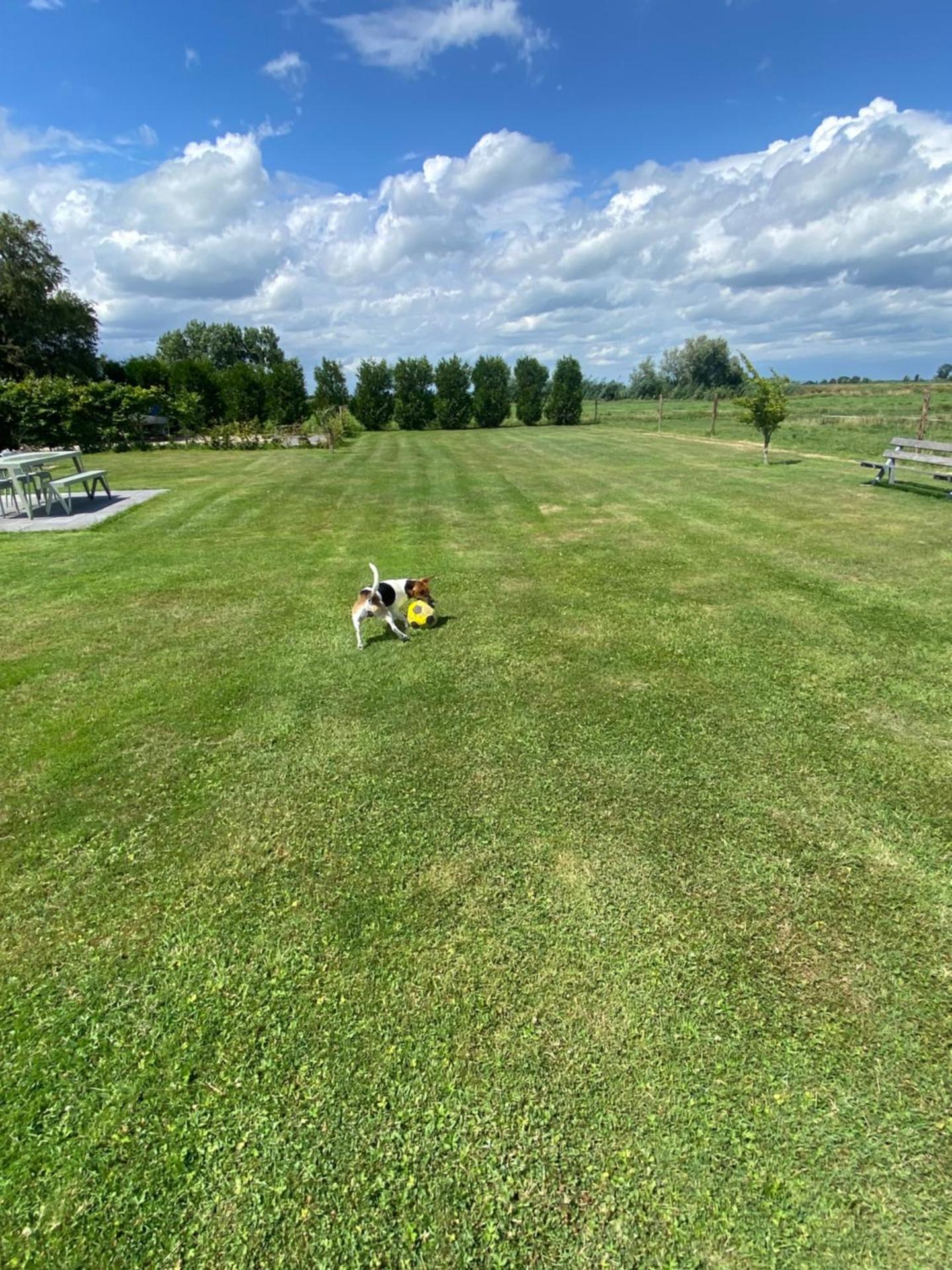 Amsterdam Garden Studio