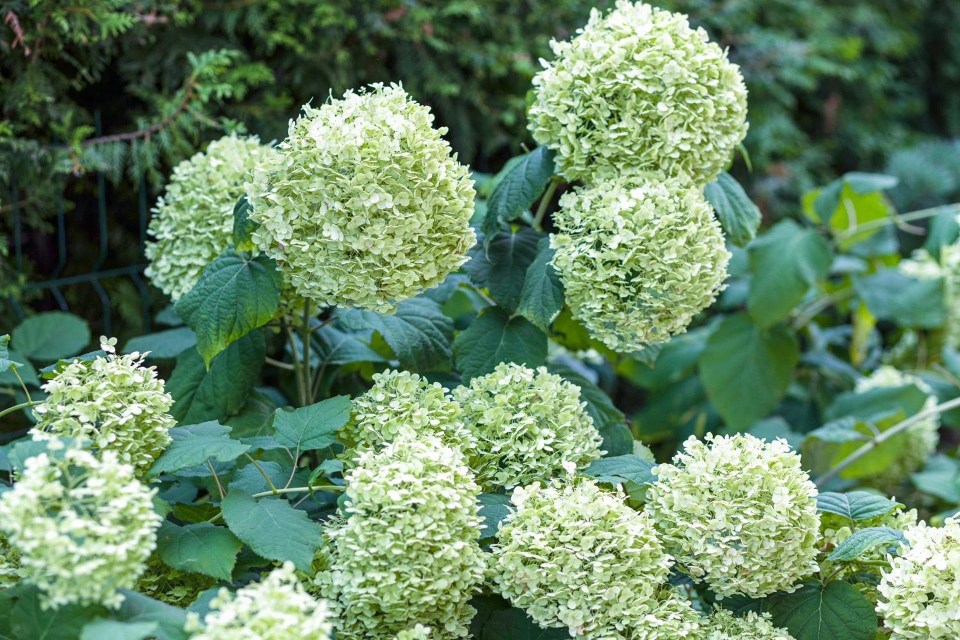 Apartament z tarasem