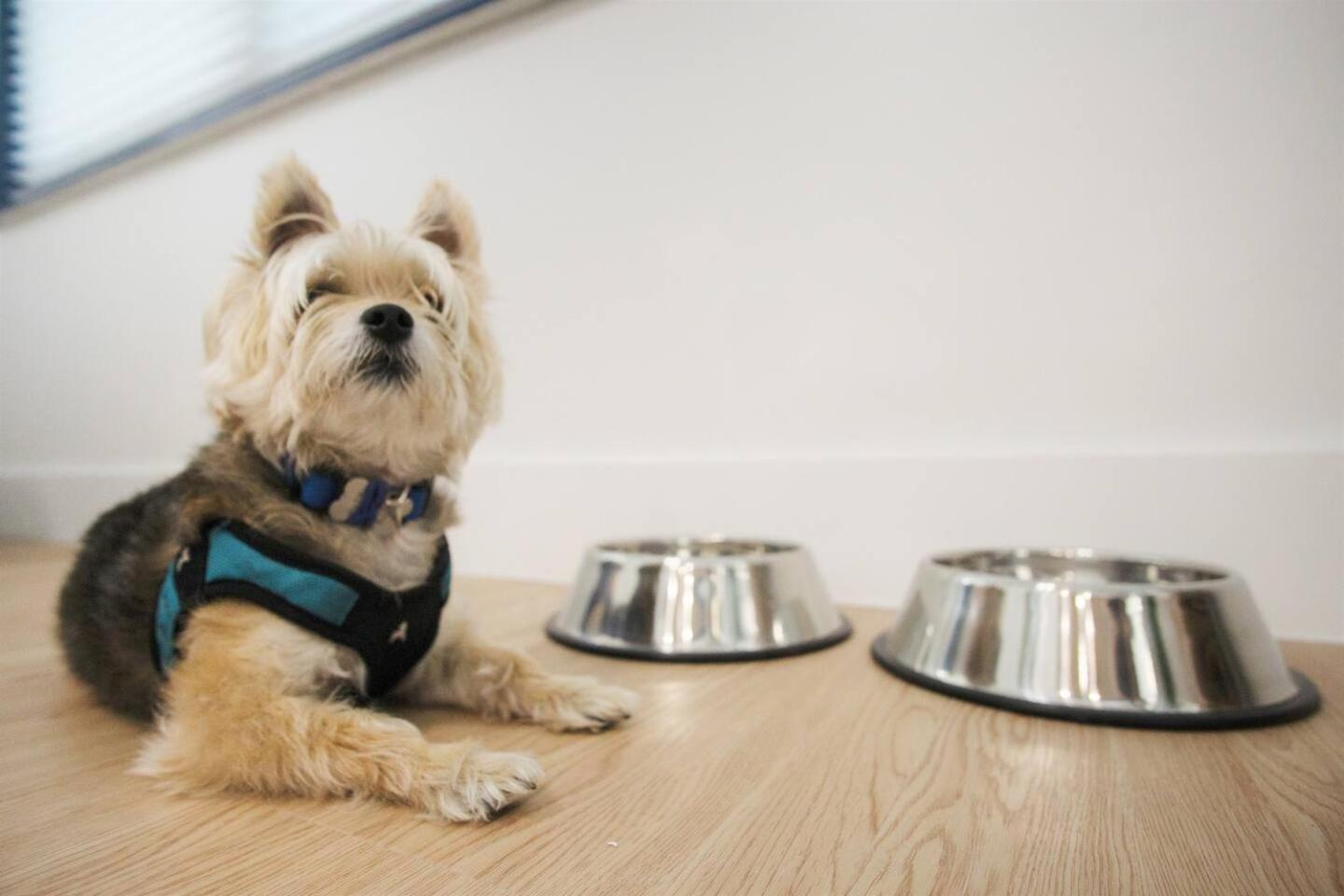 Pets OK! Heated Pool mins to 3 Sisters Spring!