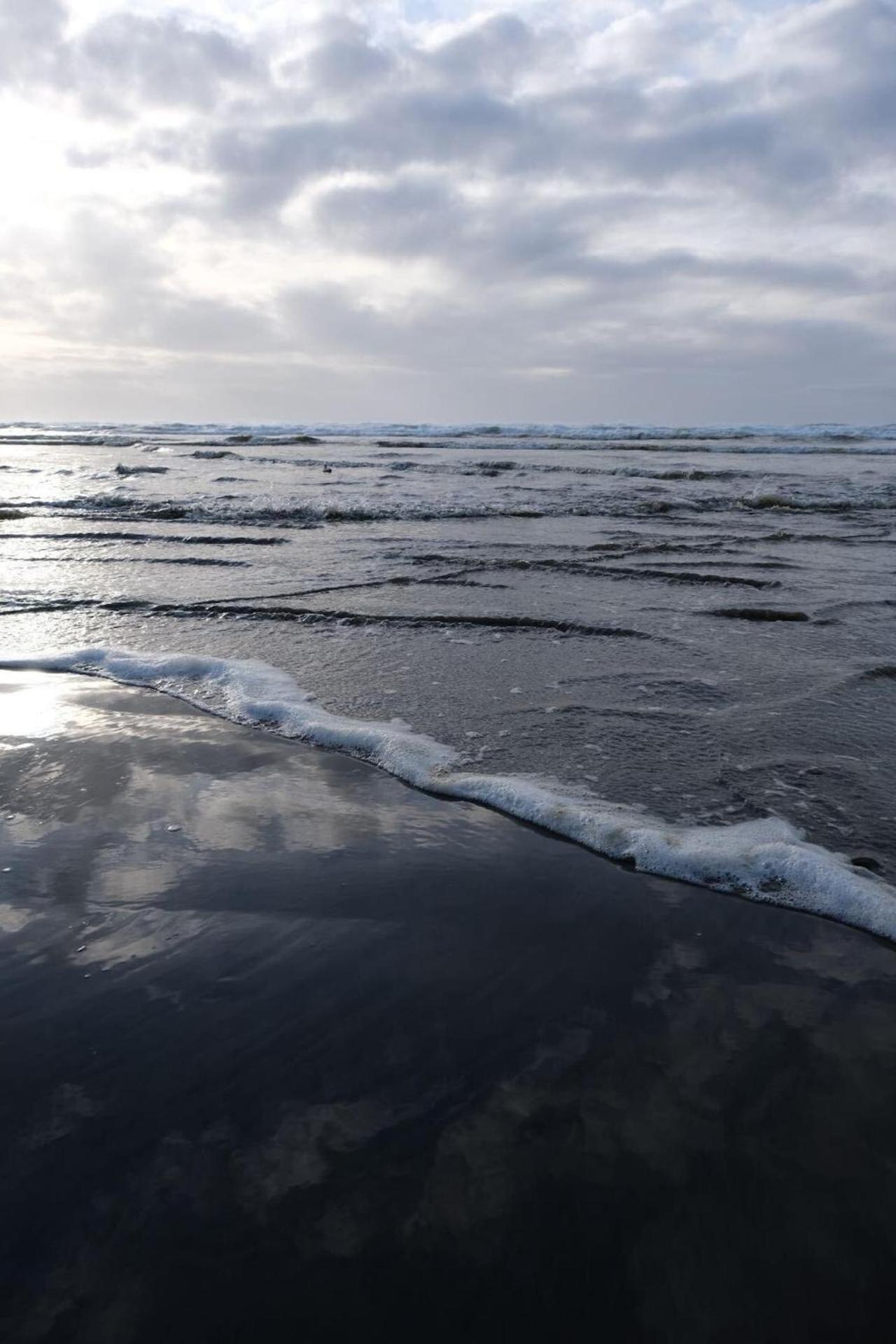 Tidal House #10 - Ocean Shores Chalet