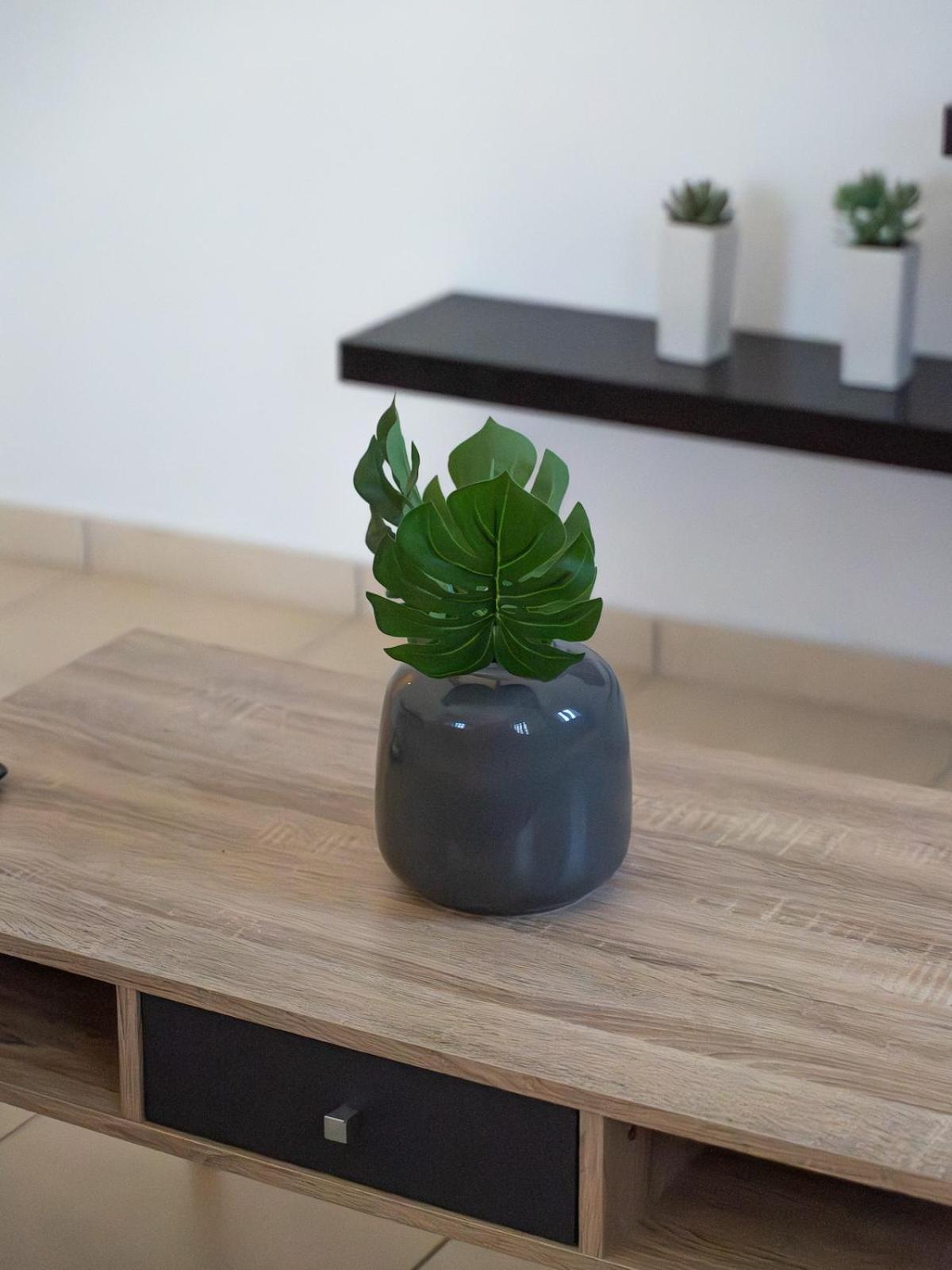 Nueve Village There's no place like home