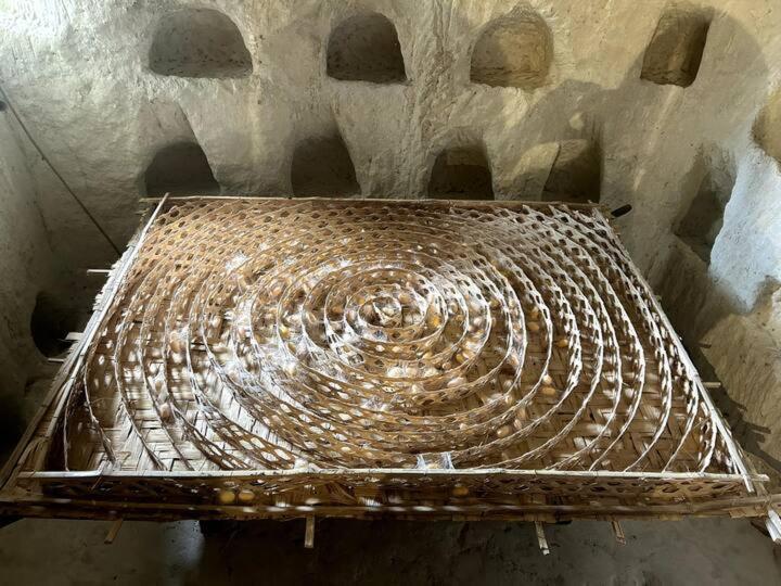 La Petite Caravelle 2 pièces sur jardin