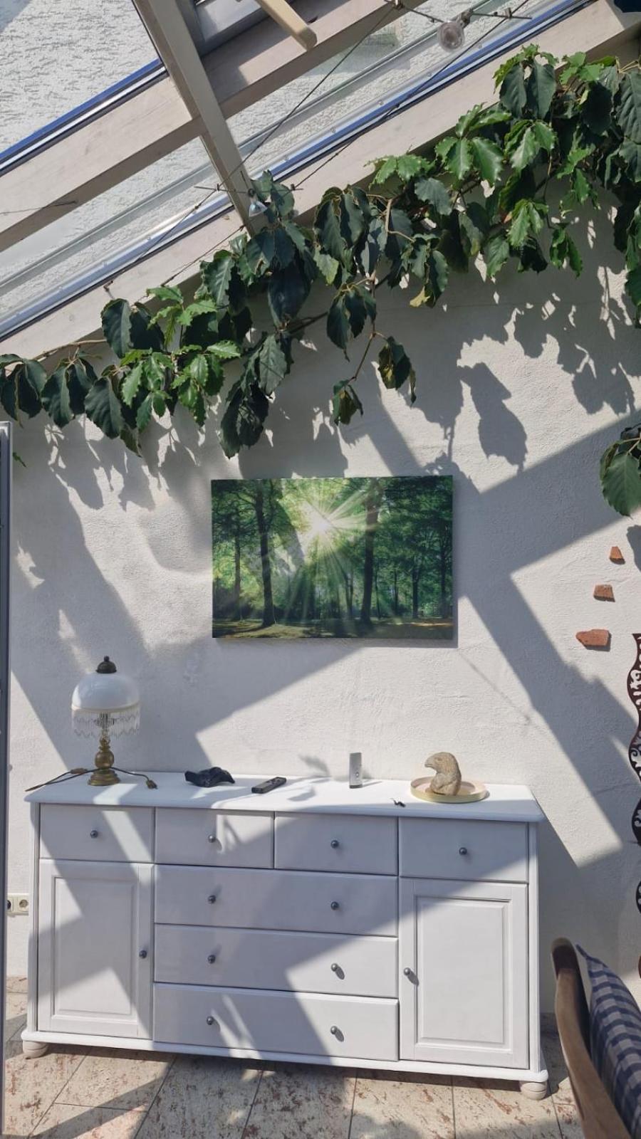 Ferienwohnung Opas Gewächshaus