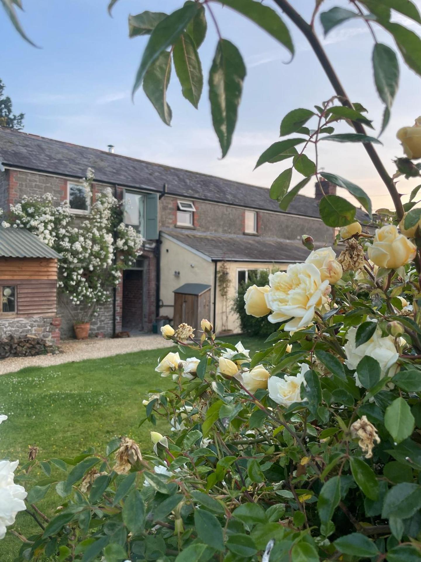 Relaxing holiday cottage in the beautiful Usk Valley