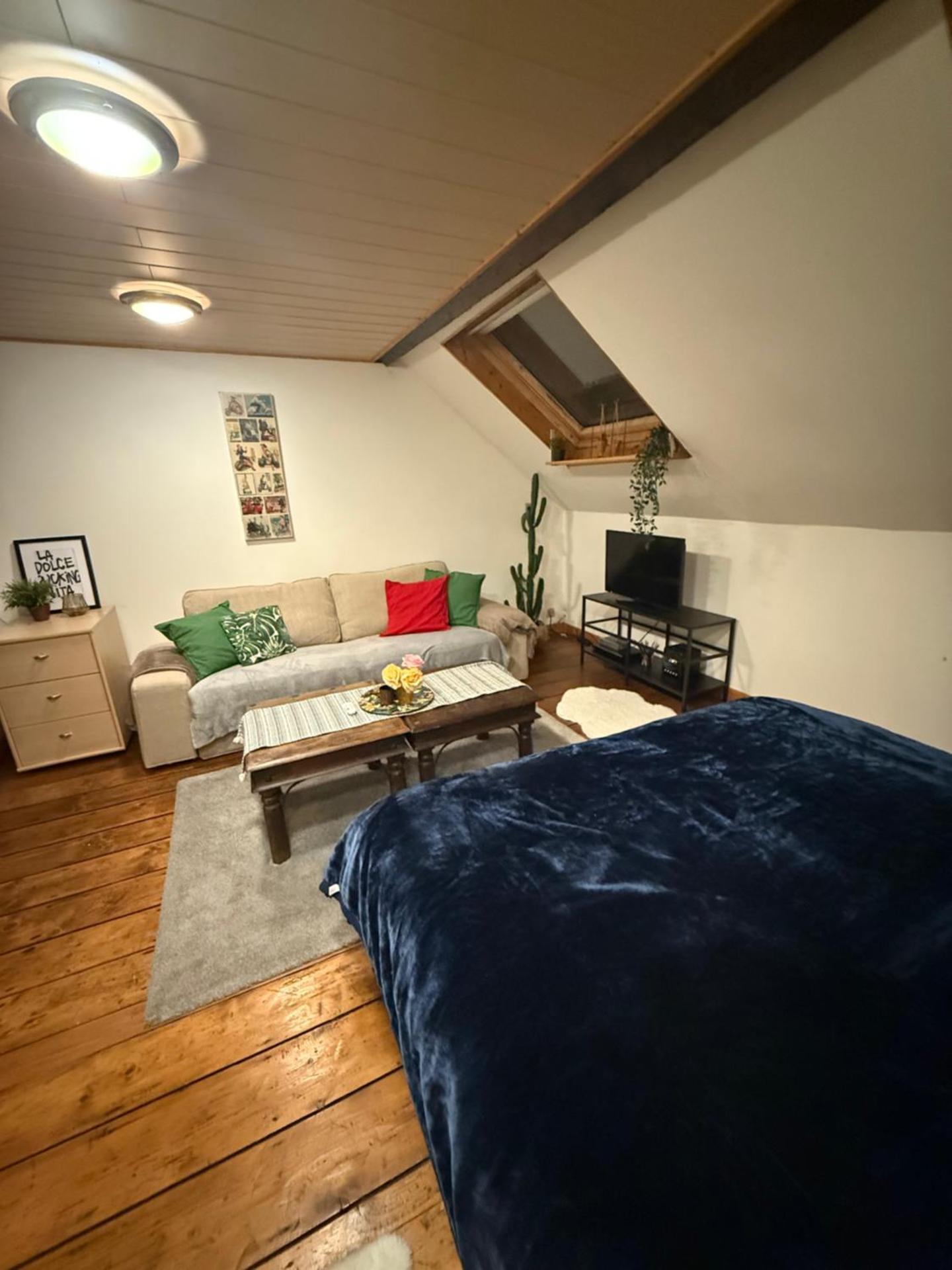 Antwerpen duplex apartment