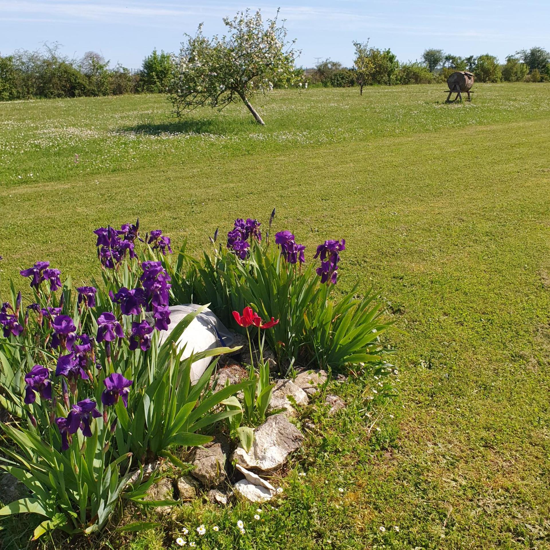 le domaine de bellevue