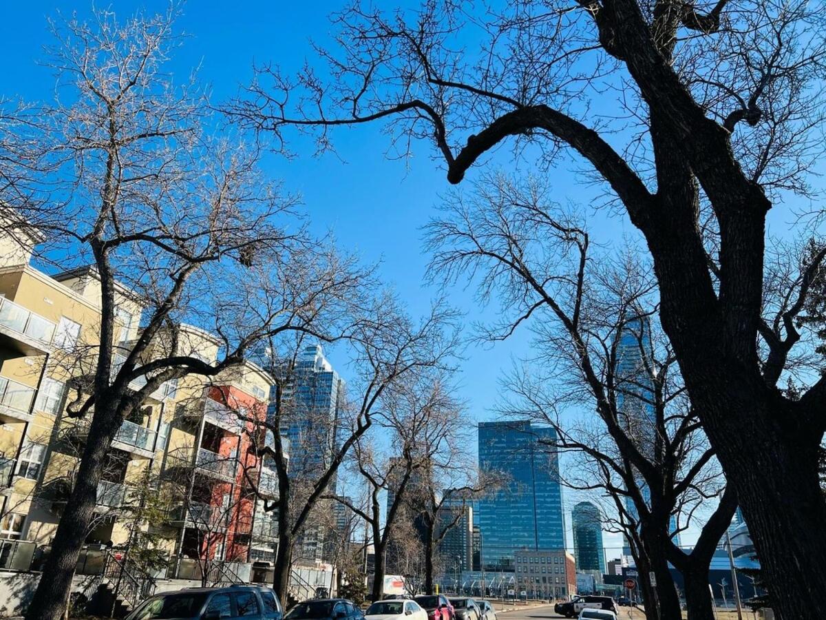 Mordern 2BedRoom Downtown Apt with Free Parking & Wifi