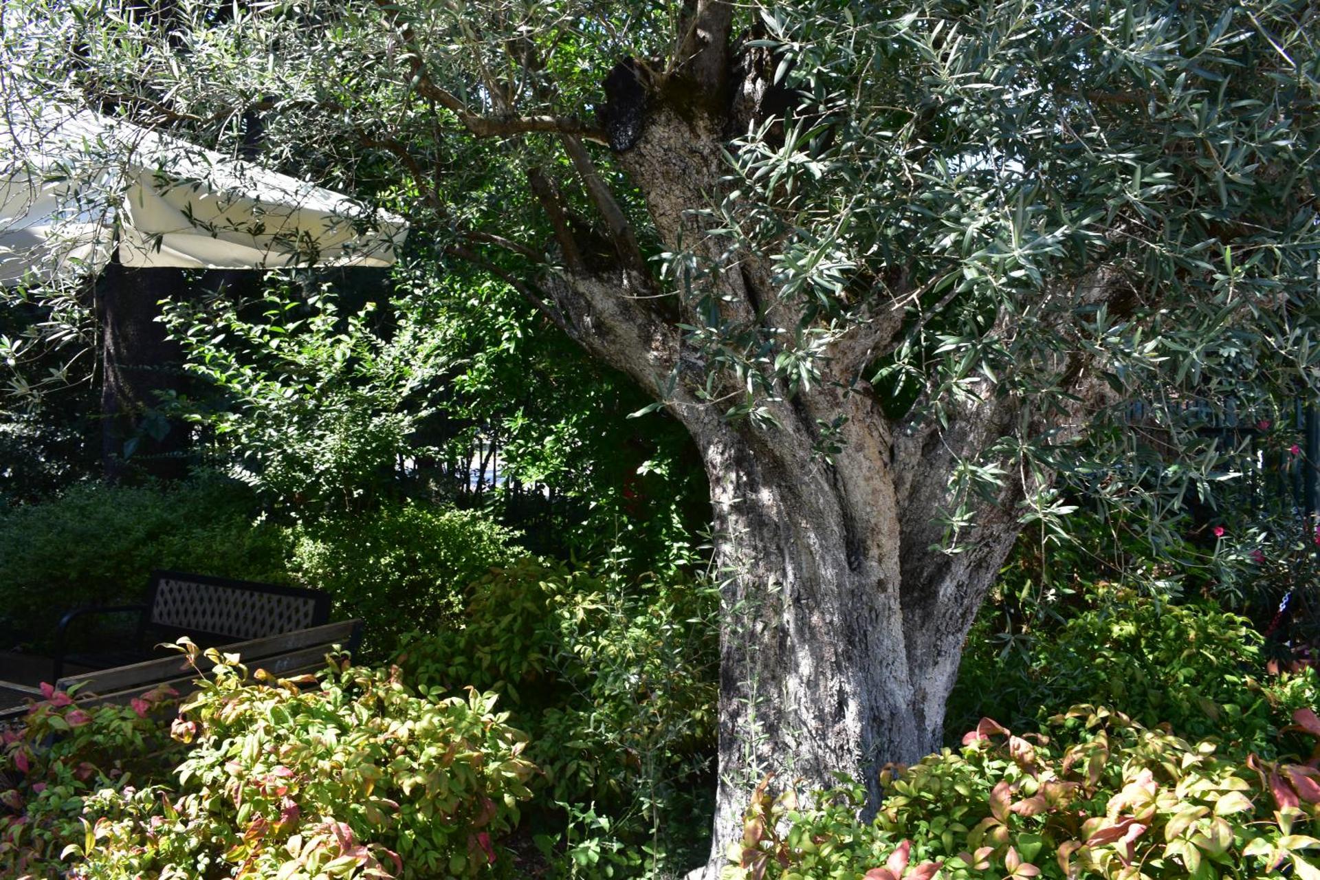 Hotel Ristorante La Rampina