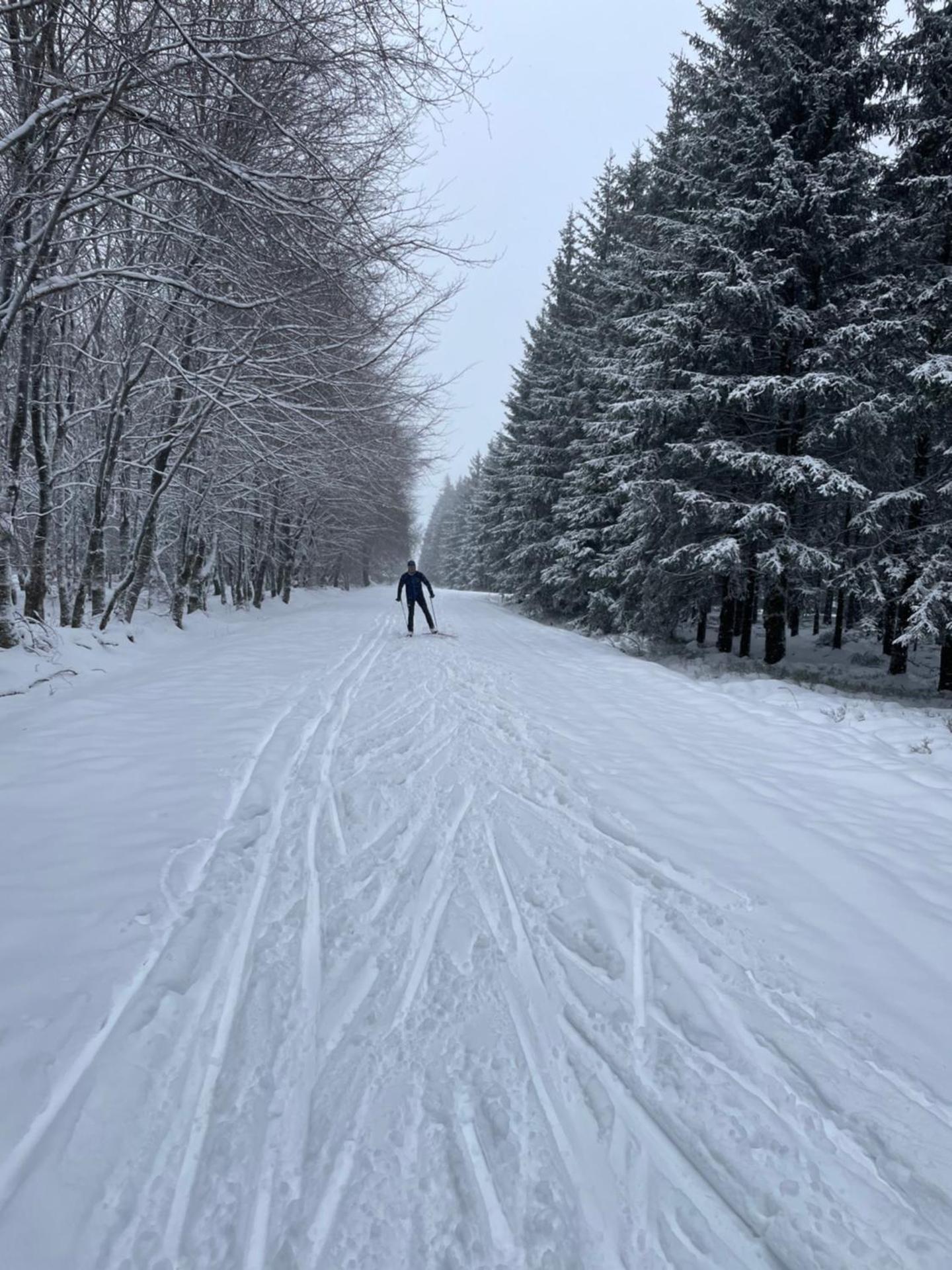 GRANDE MAISON COZY, SUD, 15 MIN SPA FRANCORCHAMPS
