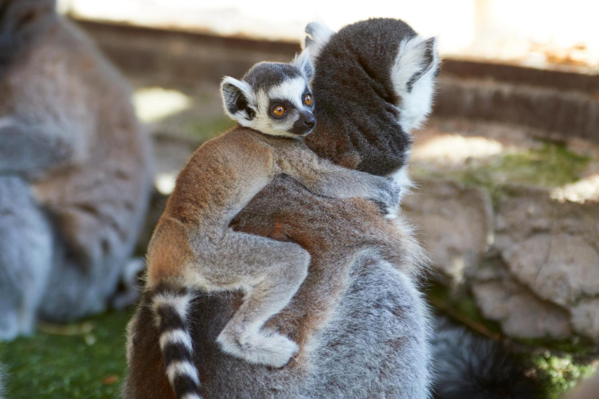 Children play ground