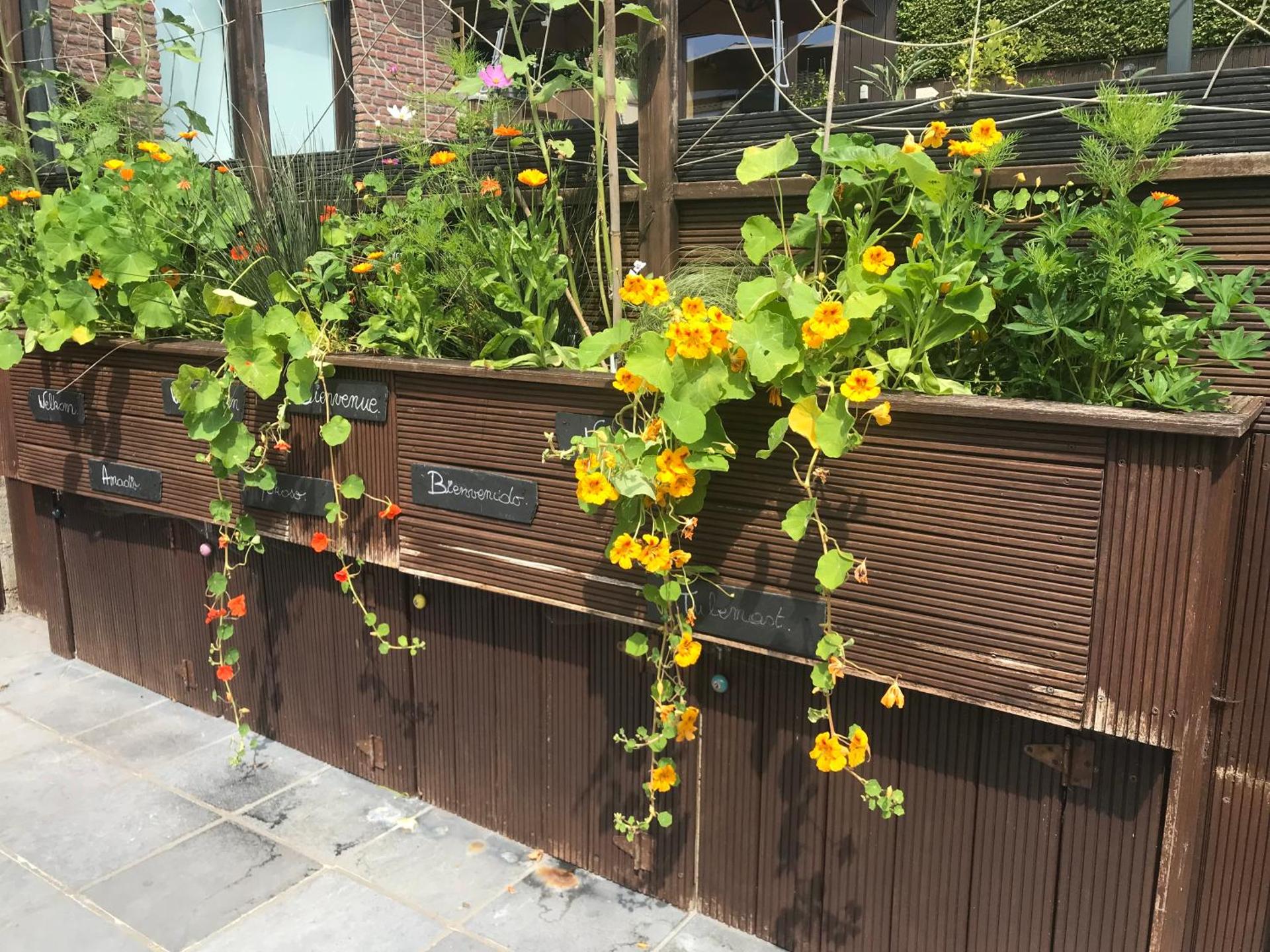 Studio Au jardin fleuri