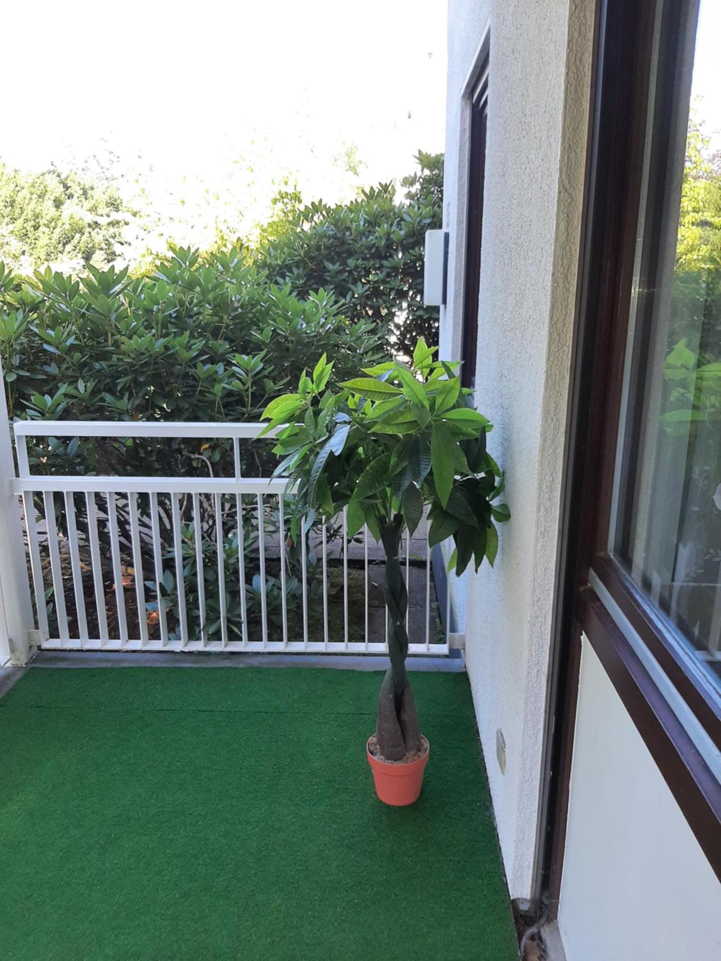 At the Lichtentaler Allee Apartment