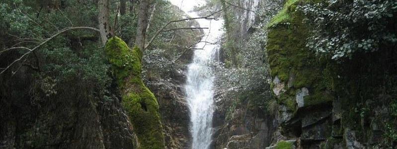 Alojamientos El Chorro