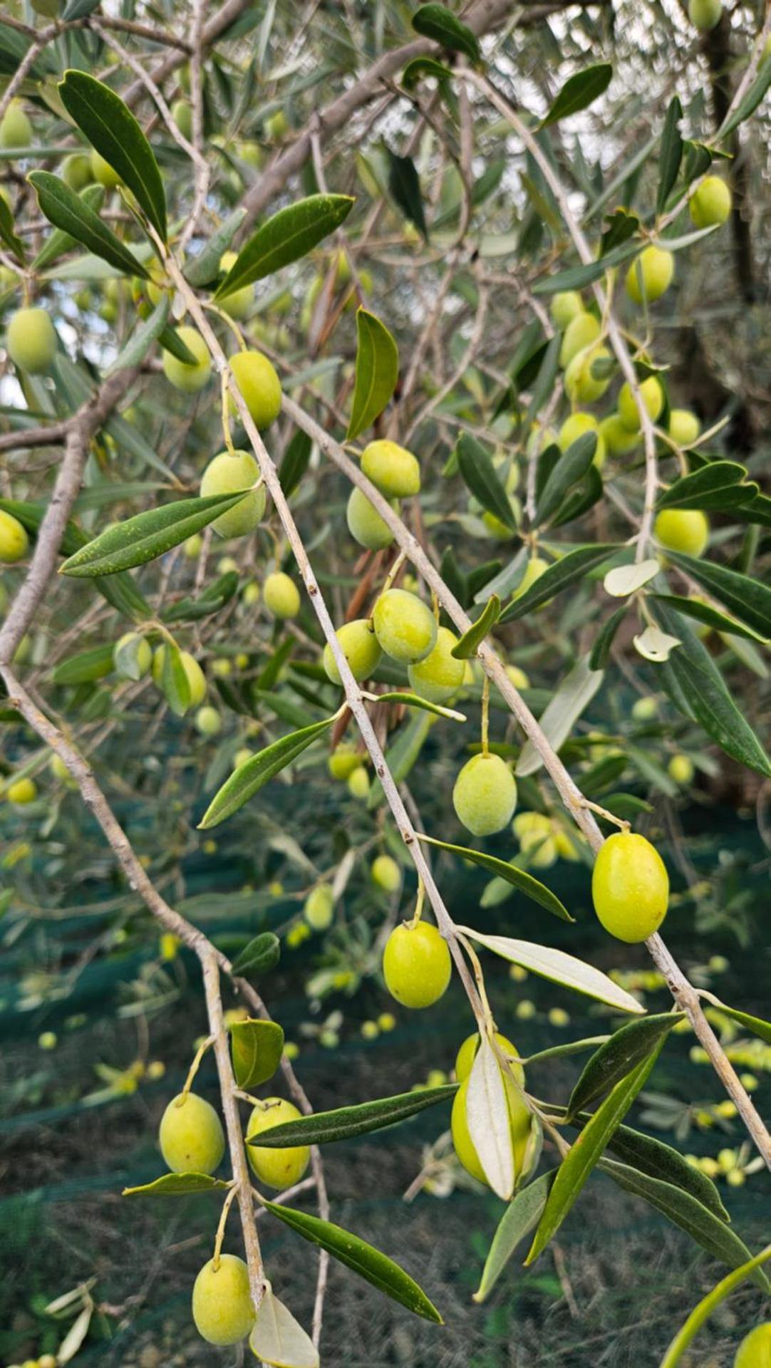 B&B Gennemara - Porta del Mare