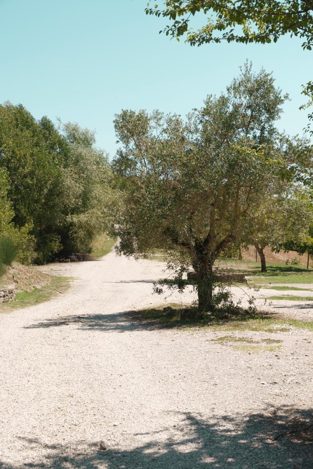 Al Podere del Nonno Romolo