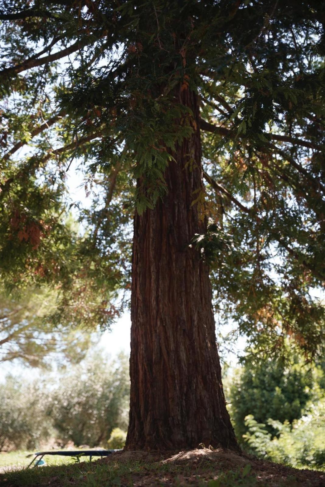 Al Podere del Nonno Romolo