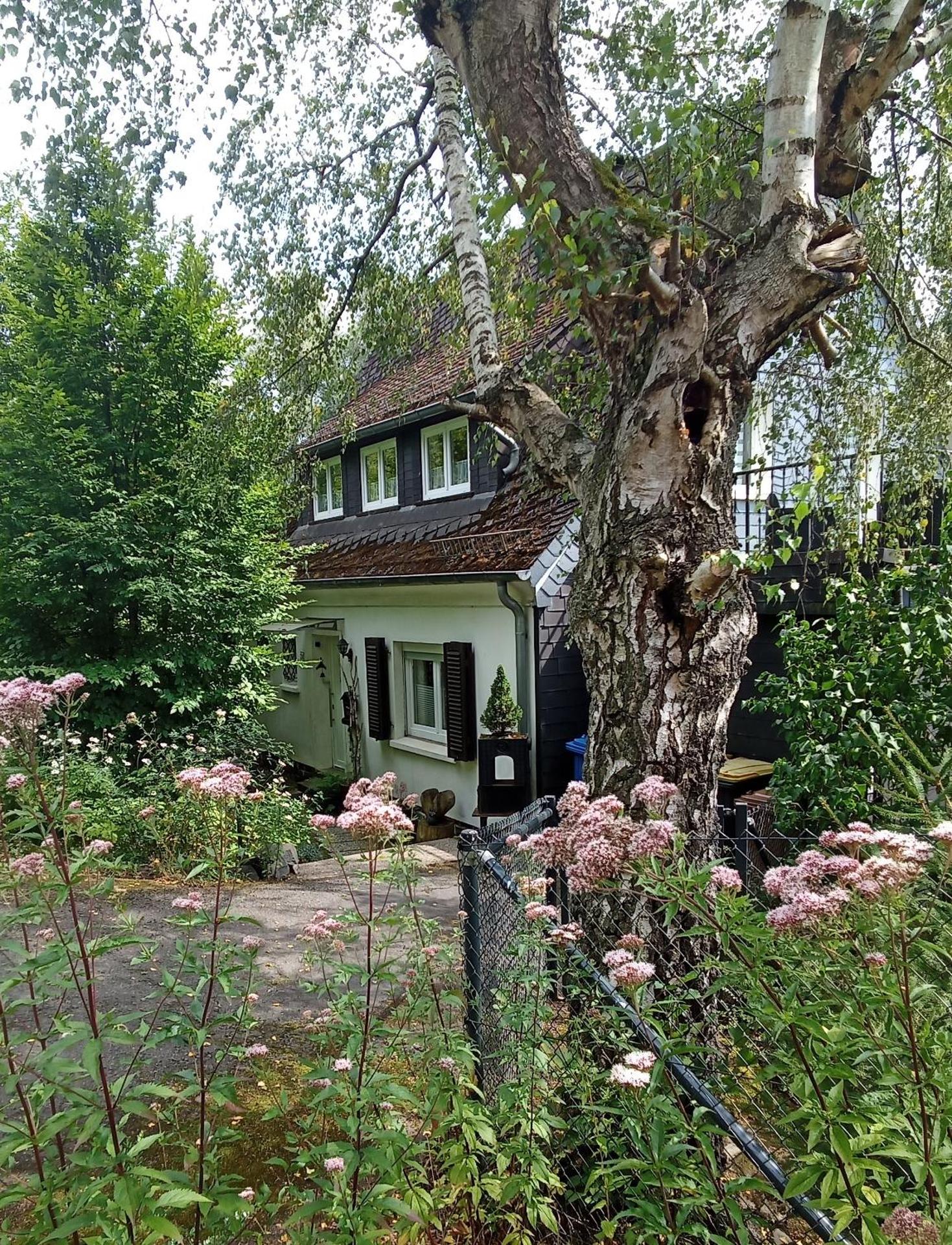 Ferienhaus Fuchs&Hase