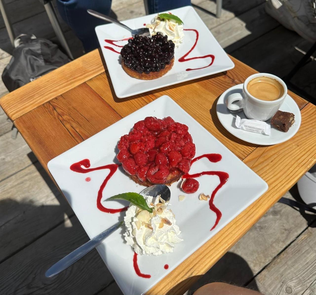 Arve et Giffre Samoens 1600