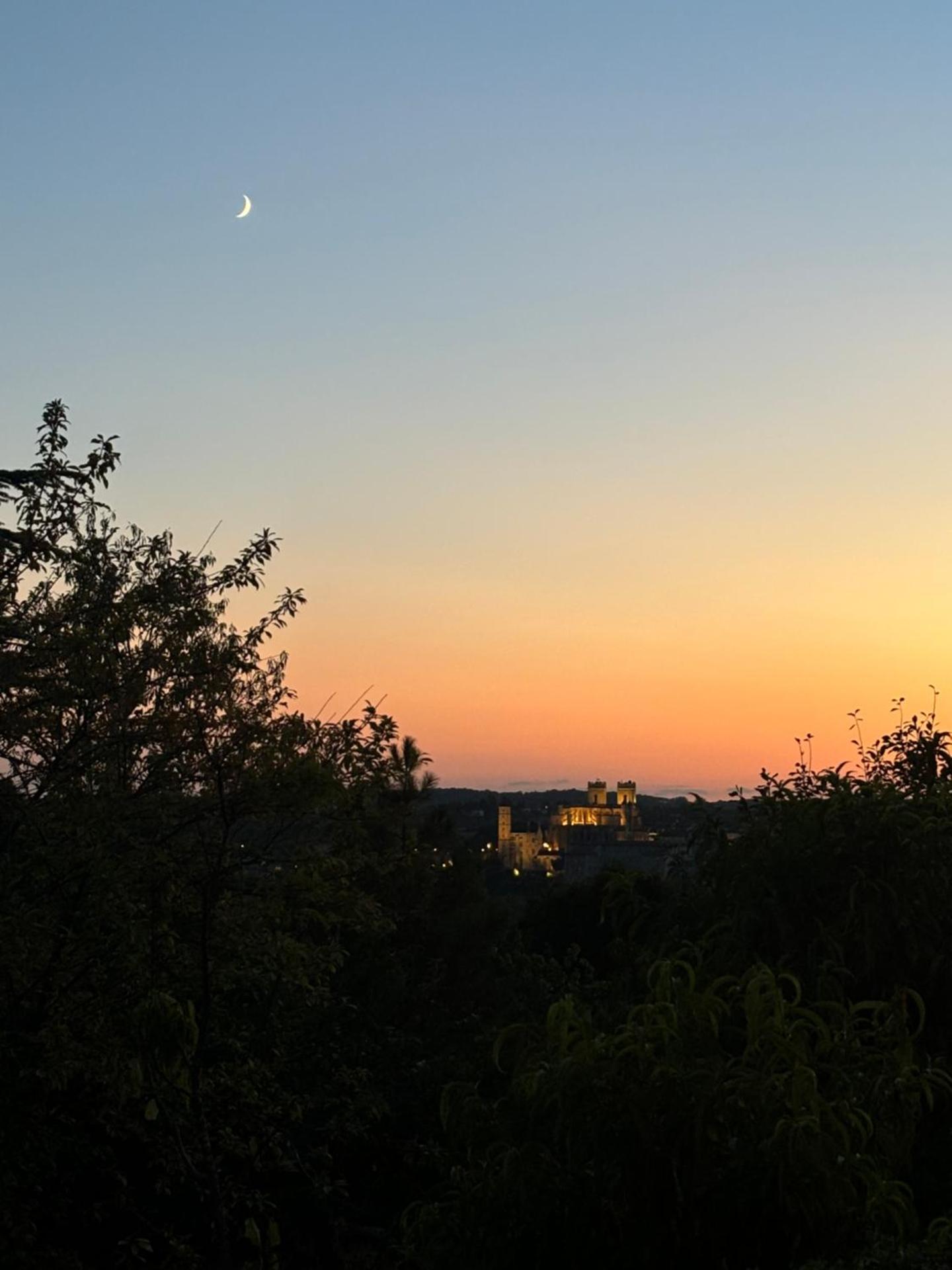 View (from property/room)