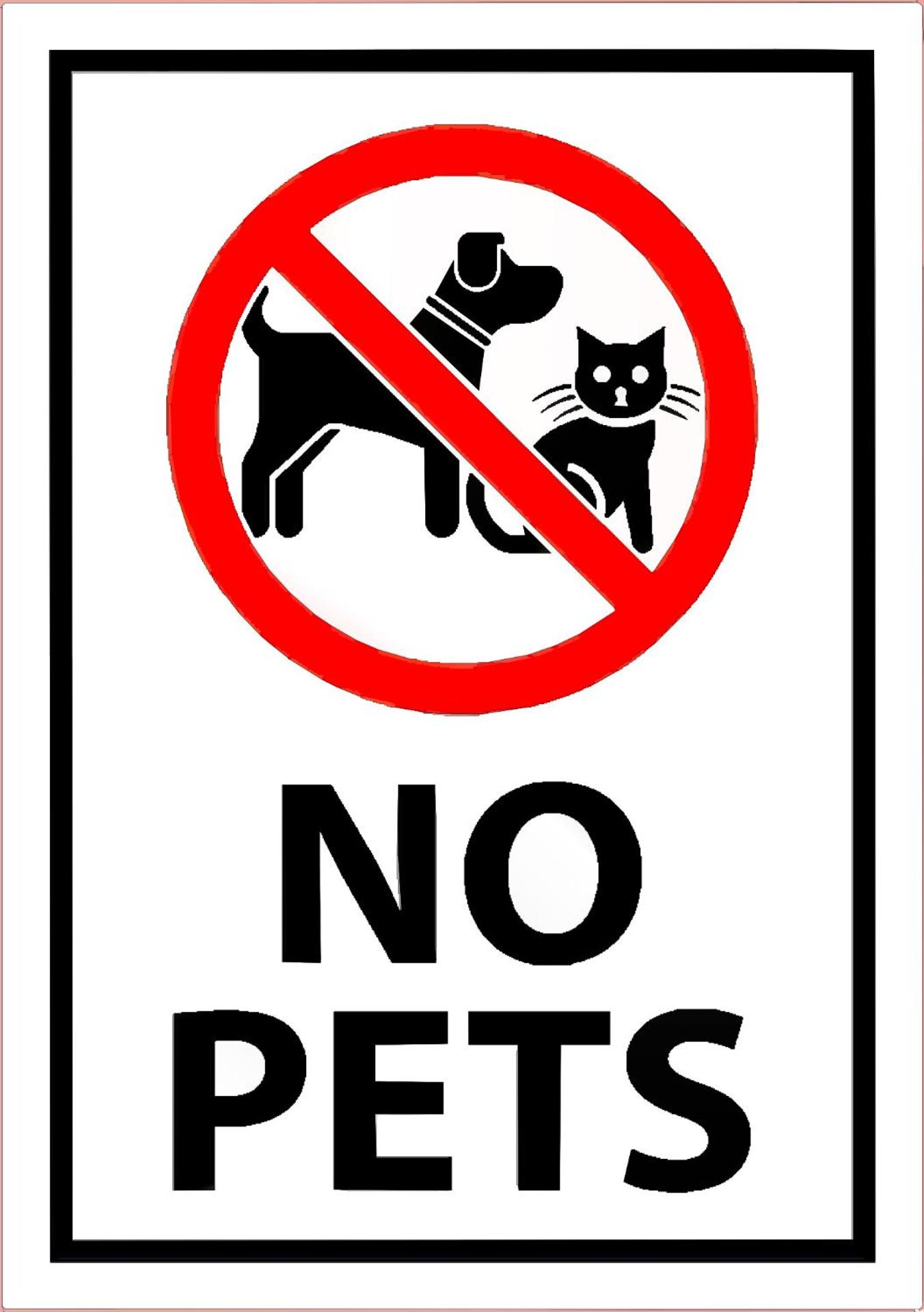 Domo de Logu ORIZONTE CÒRSICA