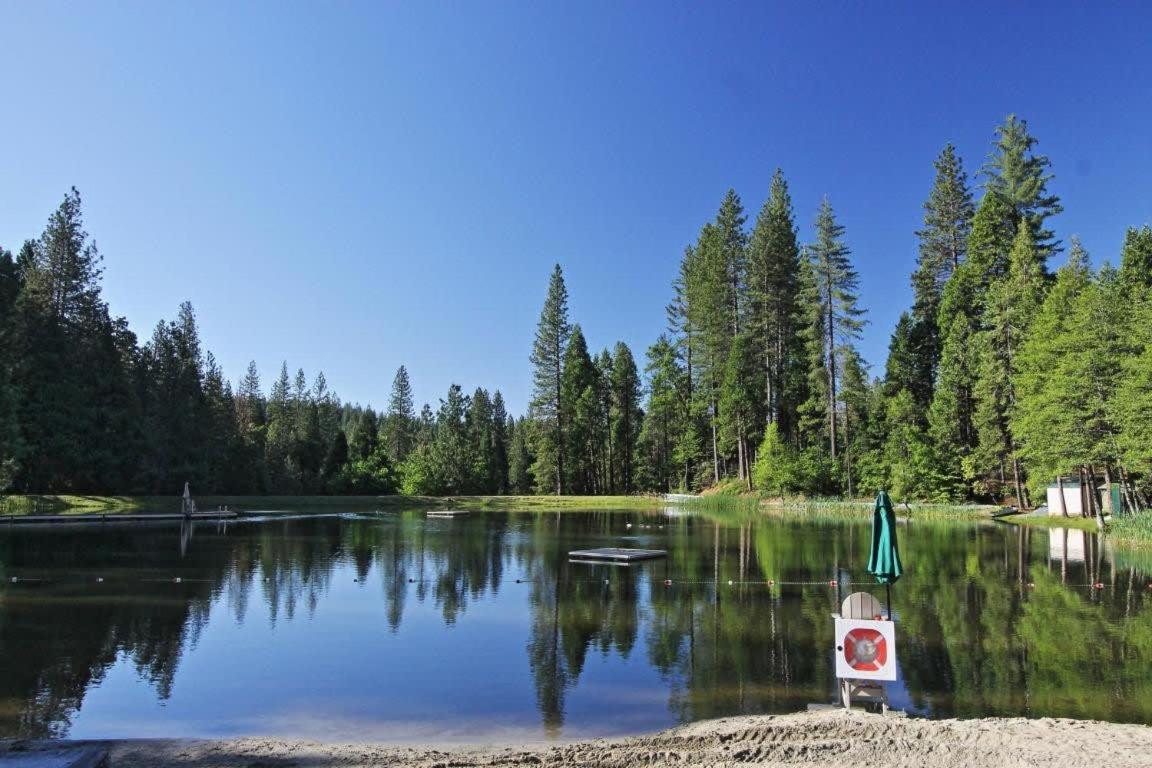 Blue Lake Chalet- 3 Bedroom + Loft/Pool Table in Arnold/Bear Valley (Pet-Friendly)