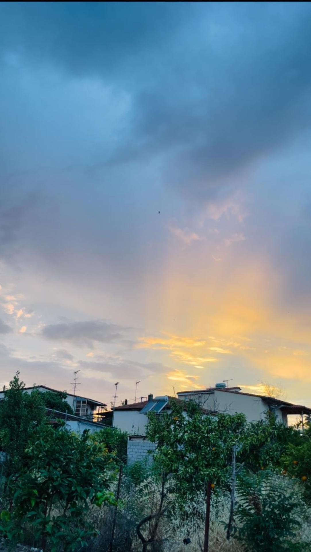 Steven Eleonas apartments