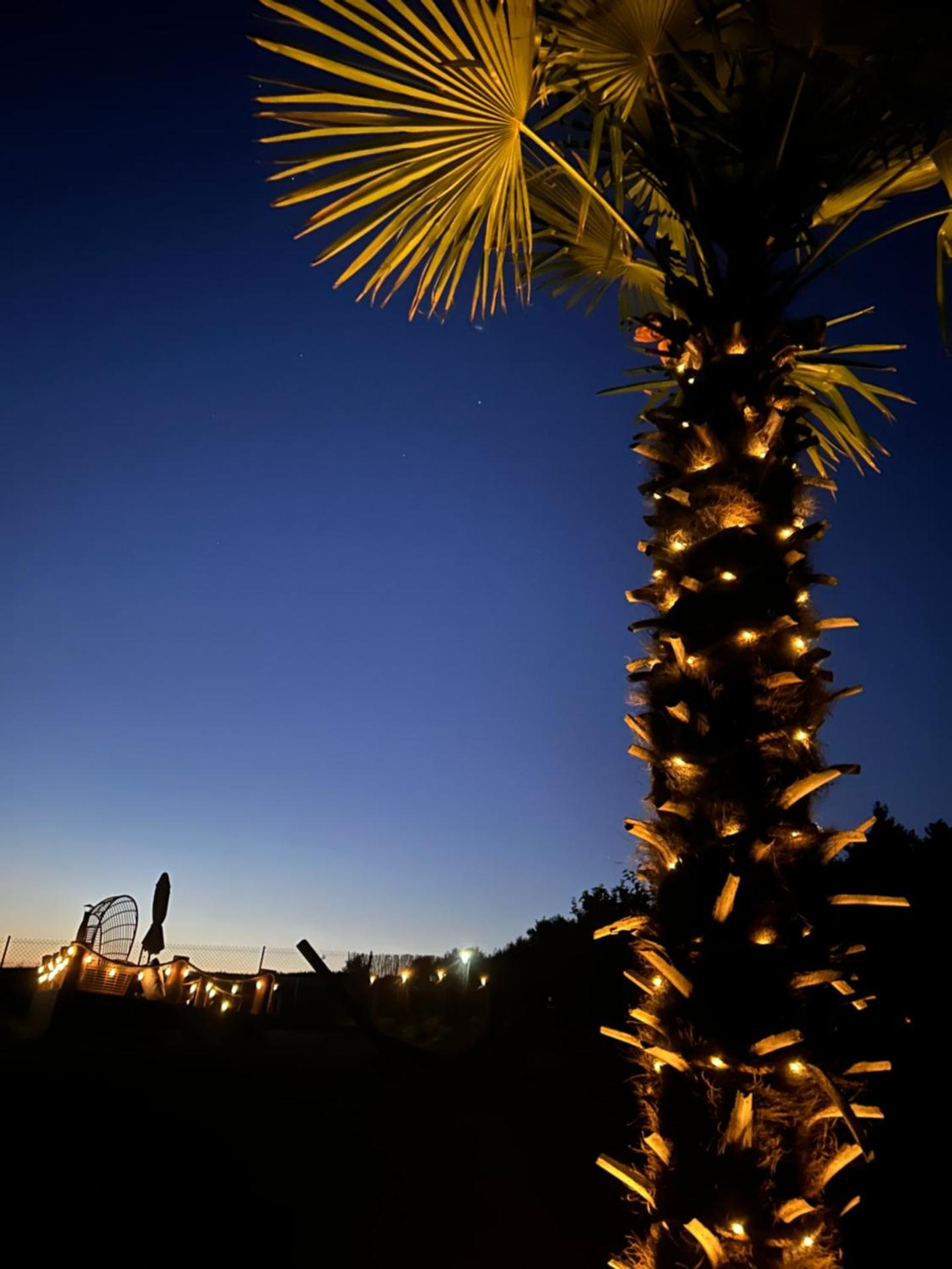 Apartament POD STRZECHĄ