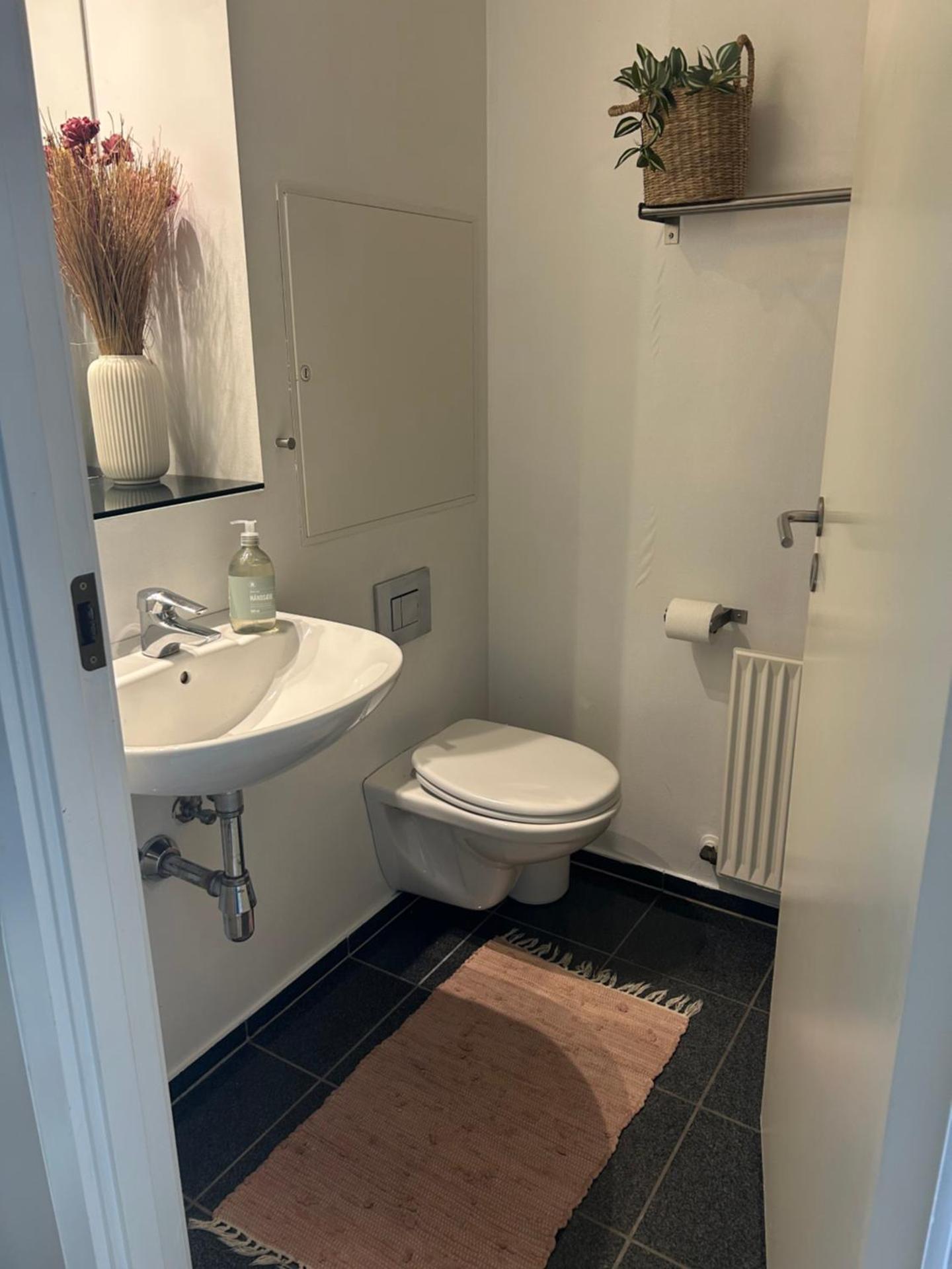 Central lejlighed med tag-terrasse