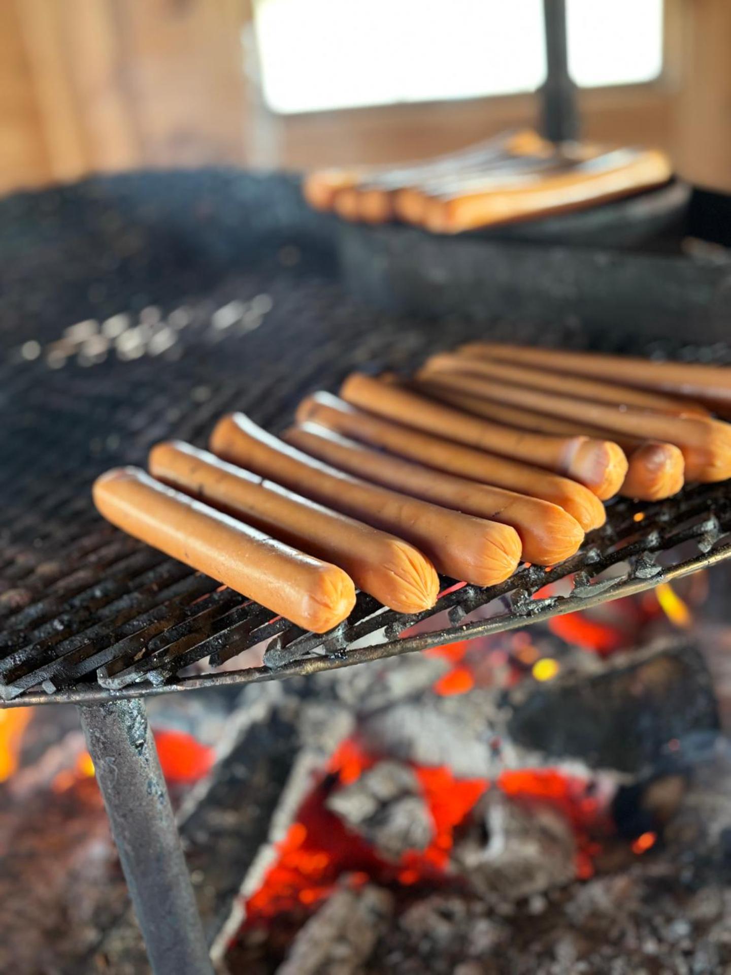 Sjötorps Säteris Bed & Breakfast Flygeln