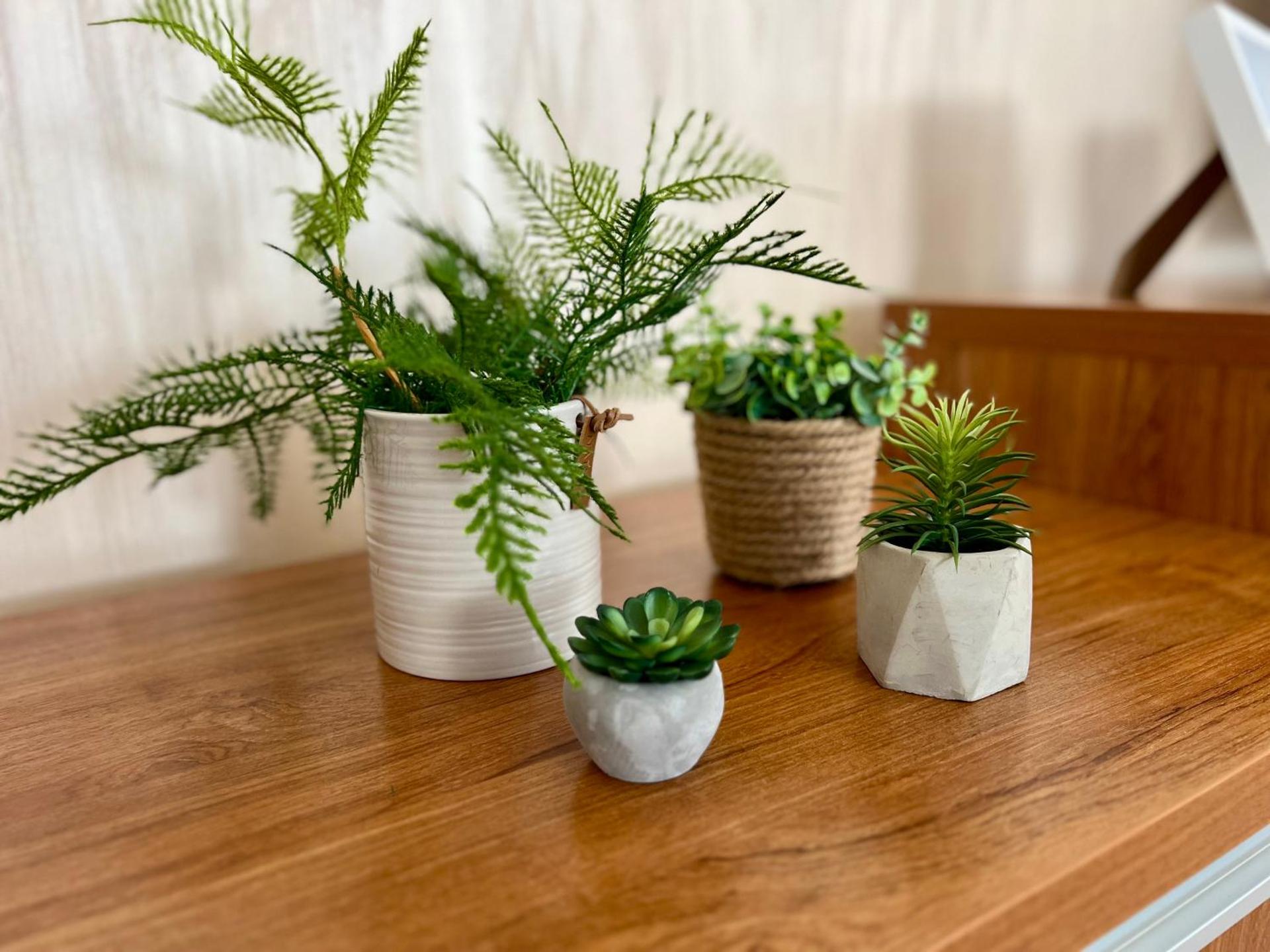 Resita Sunshine Apartament