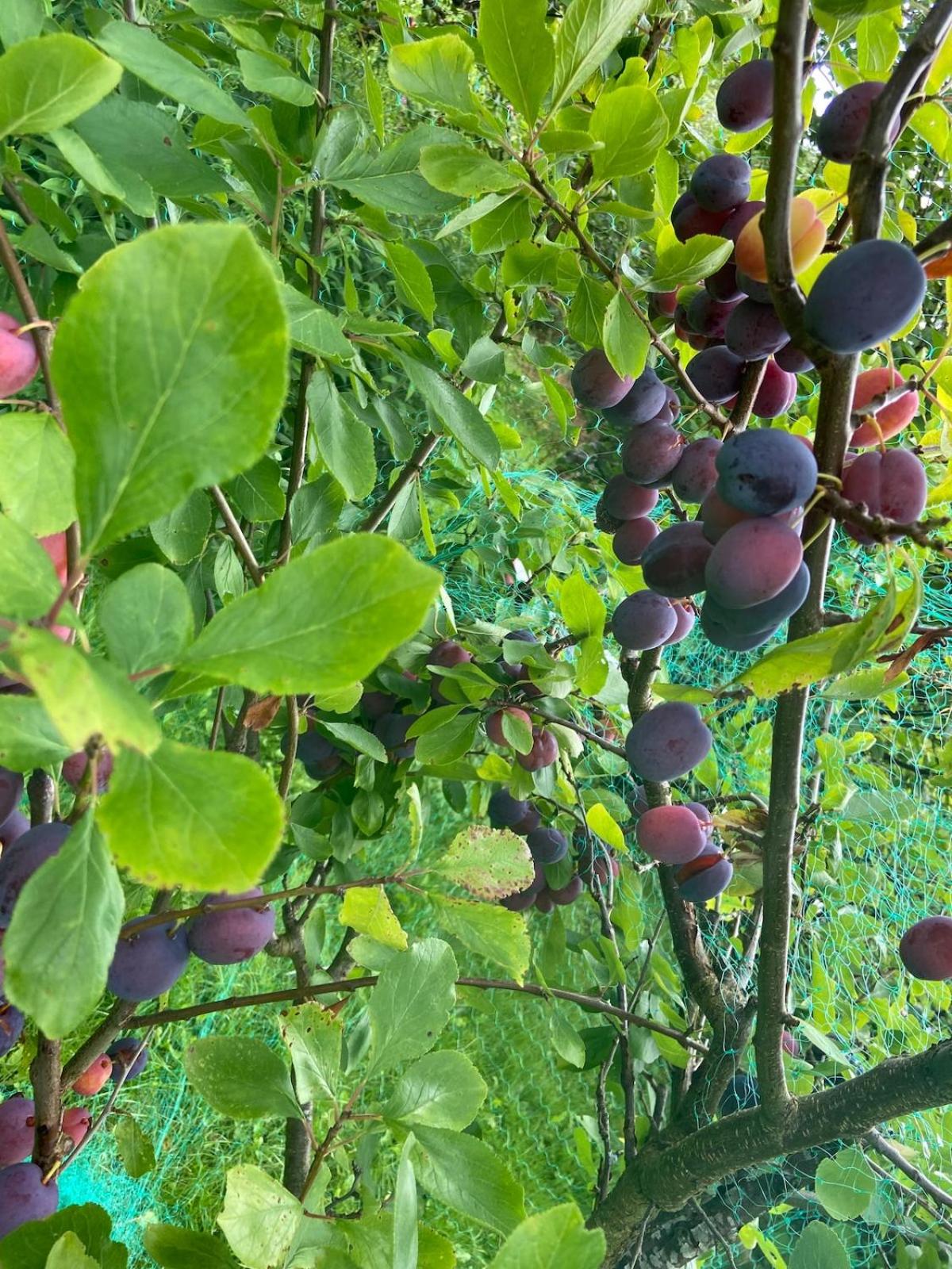 Fjord Home Near Preikestolen