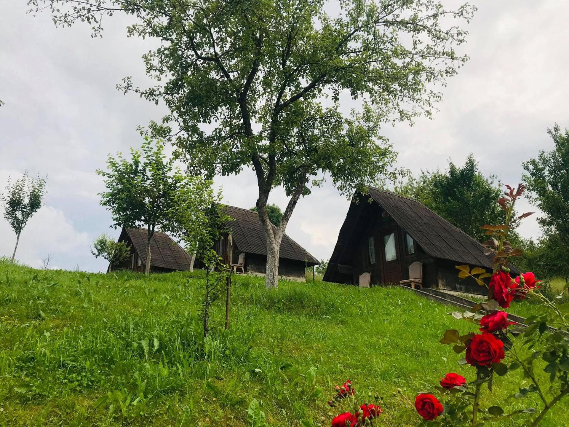 Pensiunea La Domnița