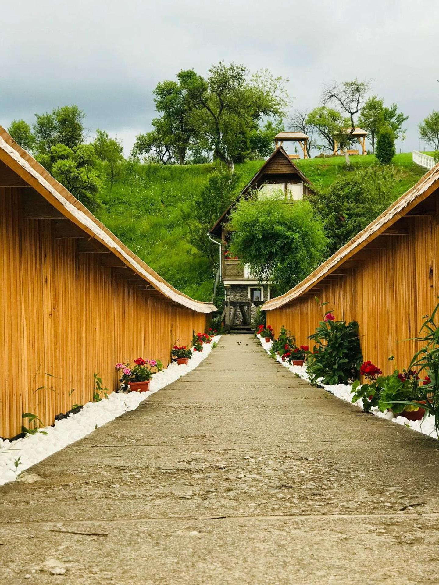 Pensiunea La Domnița