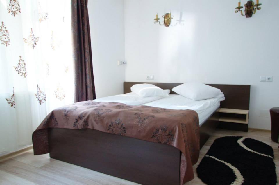 Pensiunea Cabana Soimul