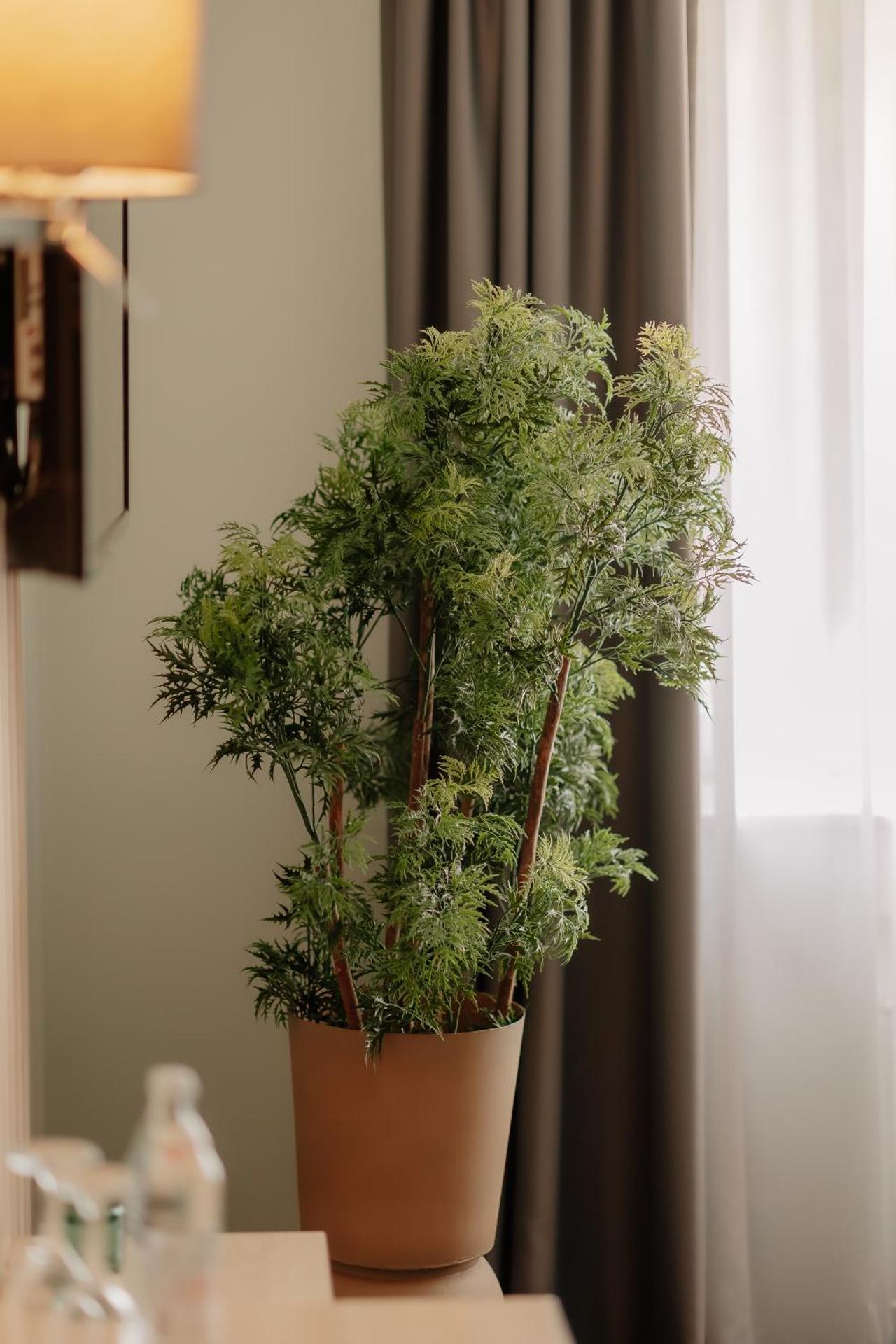 Stadthotel Borken by Hackmann