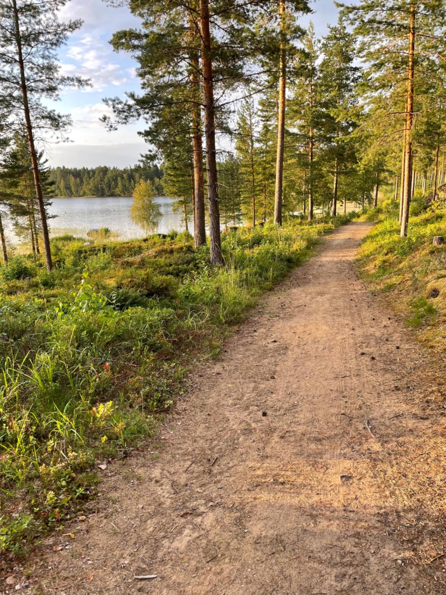 Joutiaisentie H 44 Sunset apartment