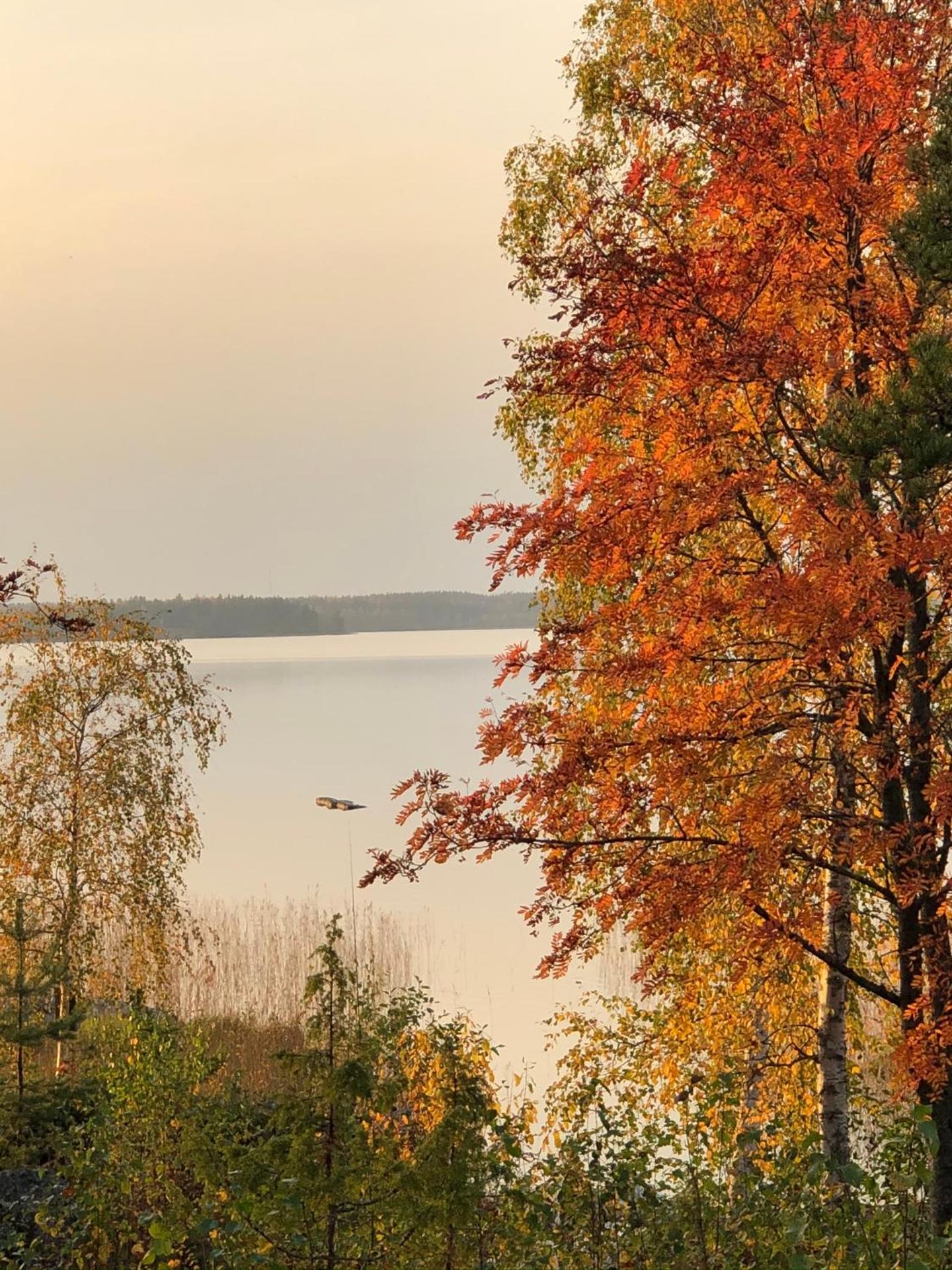 Joutiaisentie I 55 Forest apartment