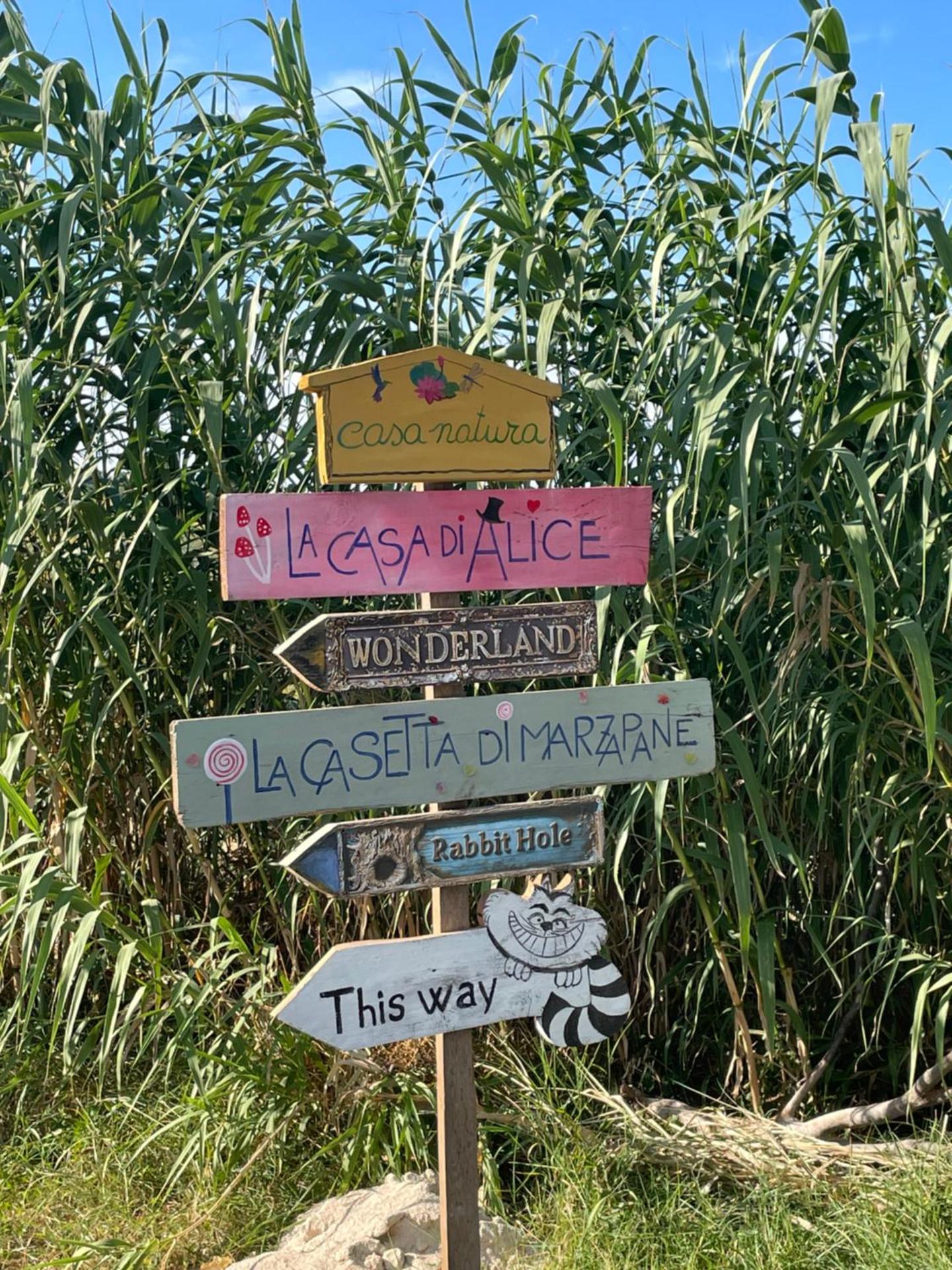 La casa di Alice - Casa Natura