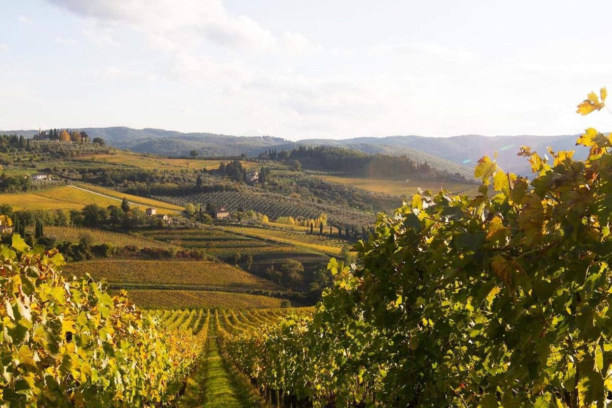 ROSSO DEL CHIANTI al CENTRO STORICO 2
